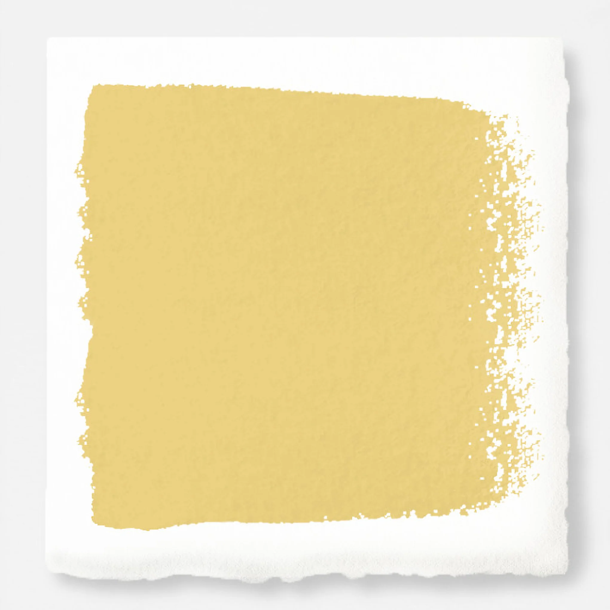 Amber - Classic Interior Paint