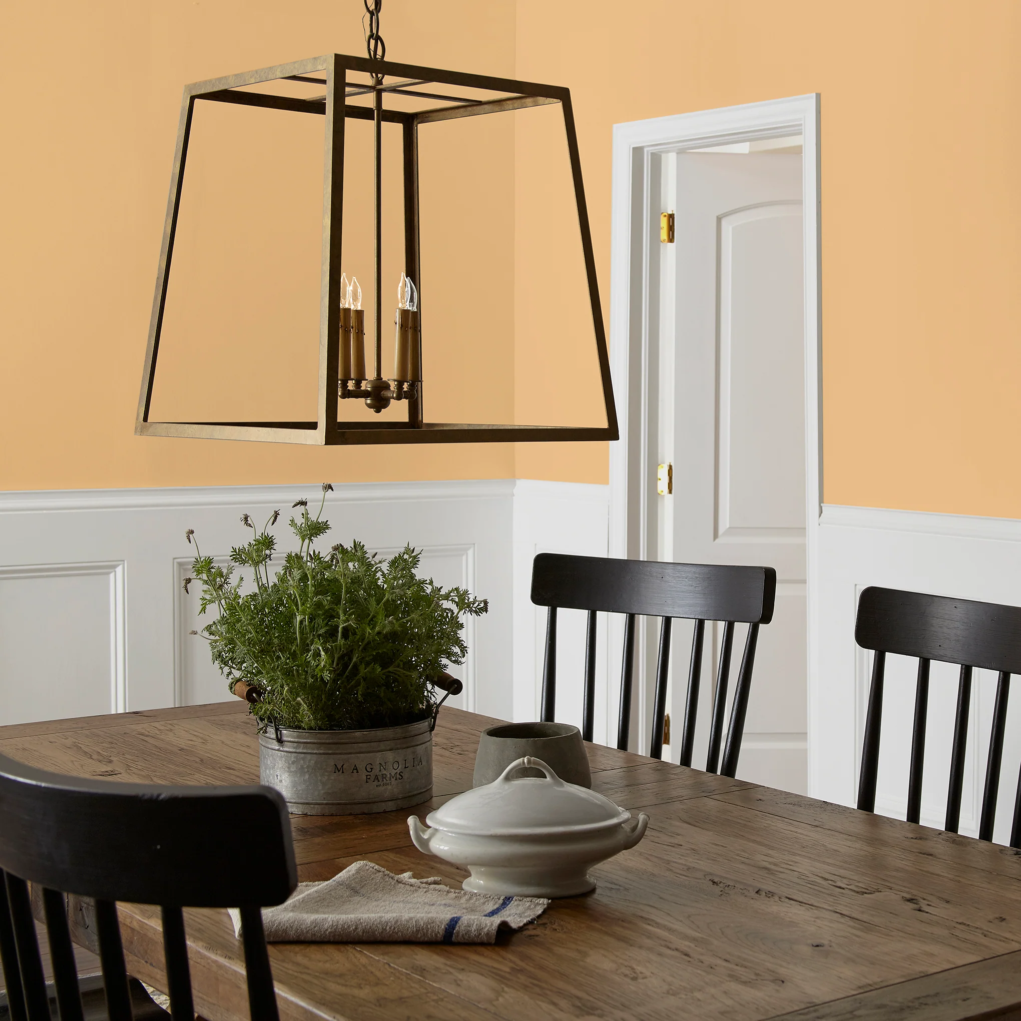 Amber - Classic Interior Paint - Image 5