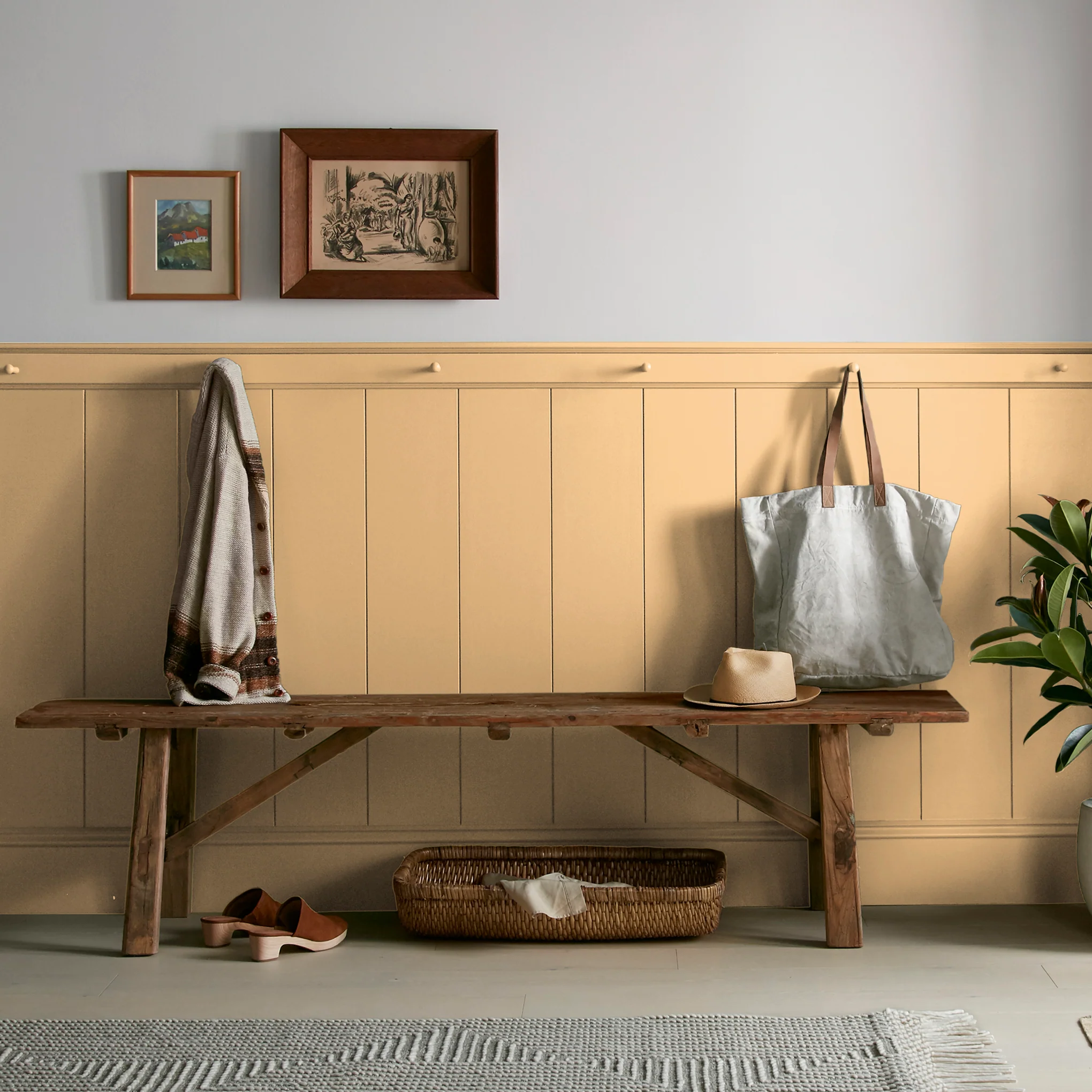 Amber - Classic Interior Paint - Image 6