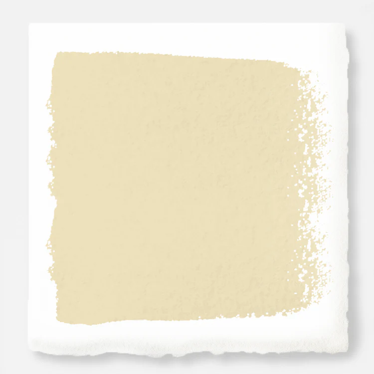 Ambient Light  -  Premium Interior Paint