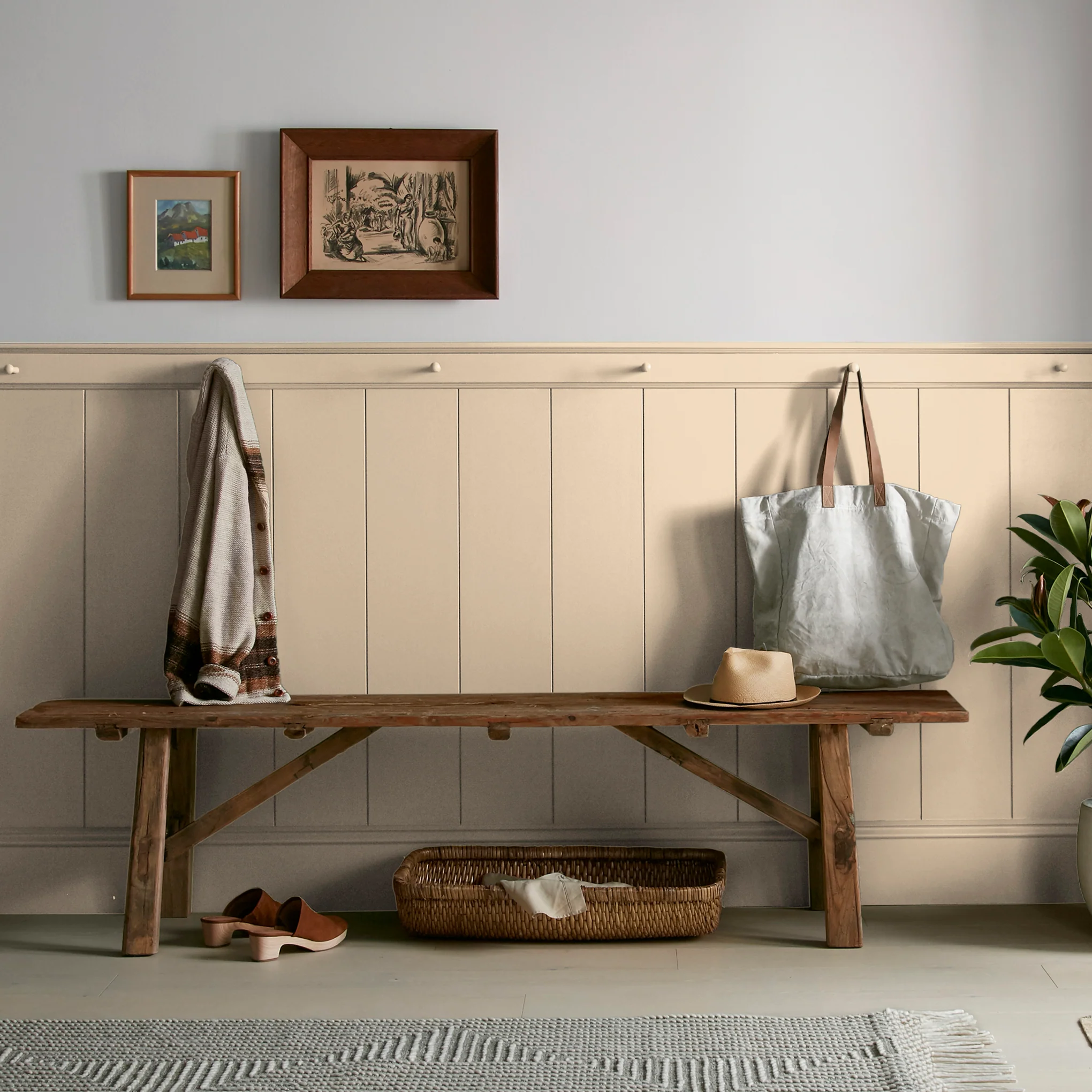 Ambient Light  -  Premium Interior Paint - Image 6