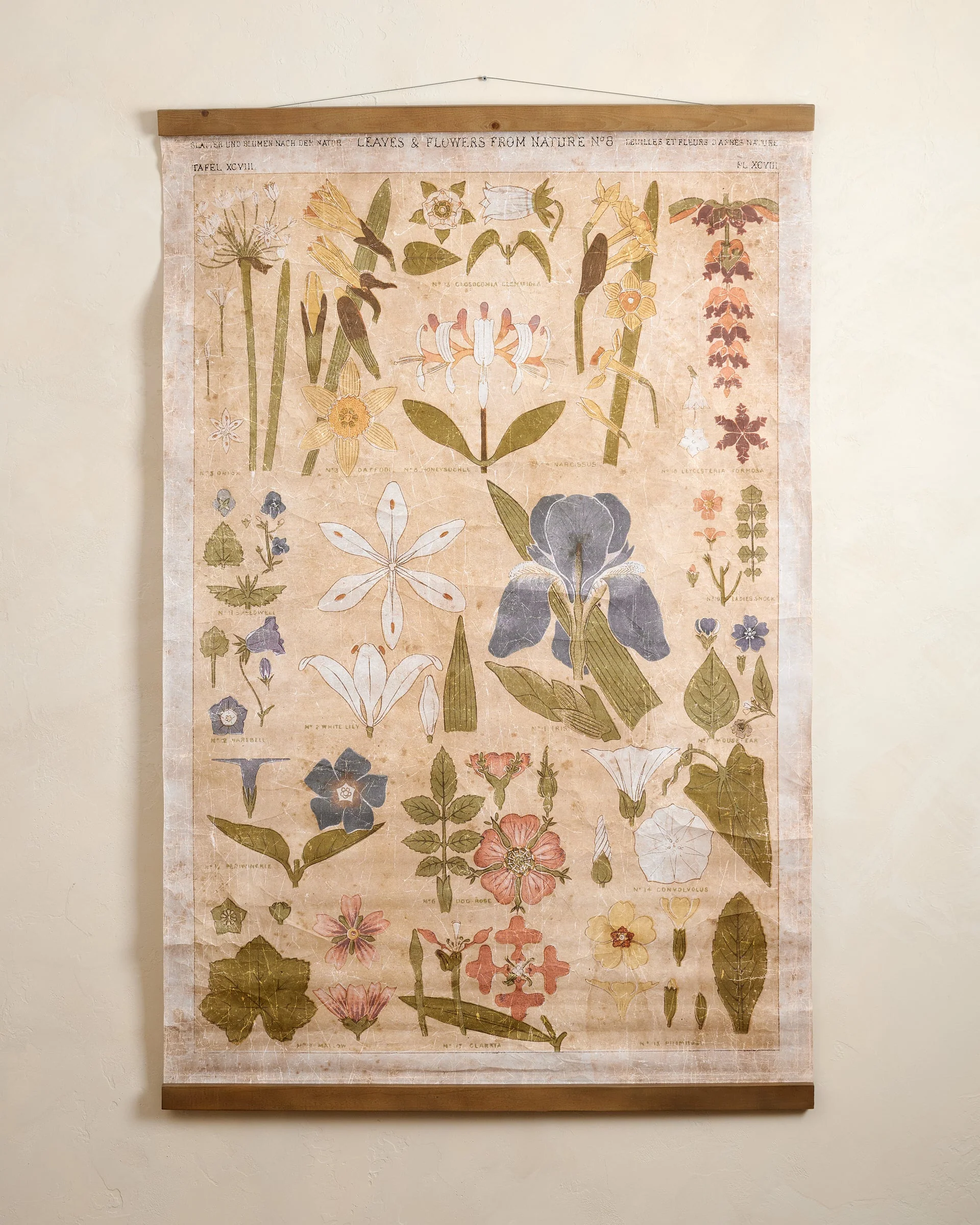 Antique Botanical Study II Tapestry - Image 2