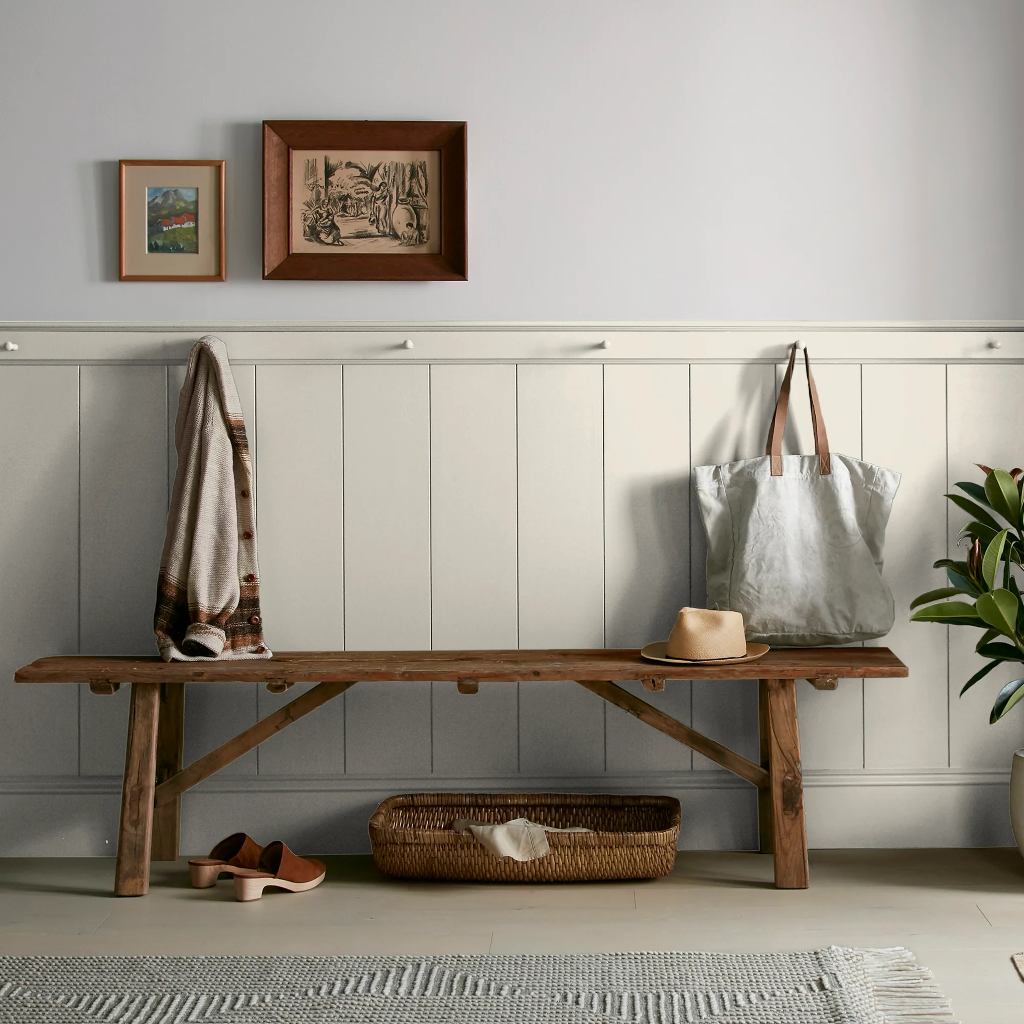 Blanched - Classic Interior Paint - Image 6