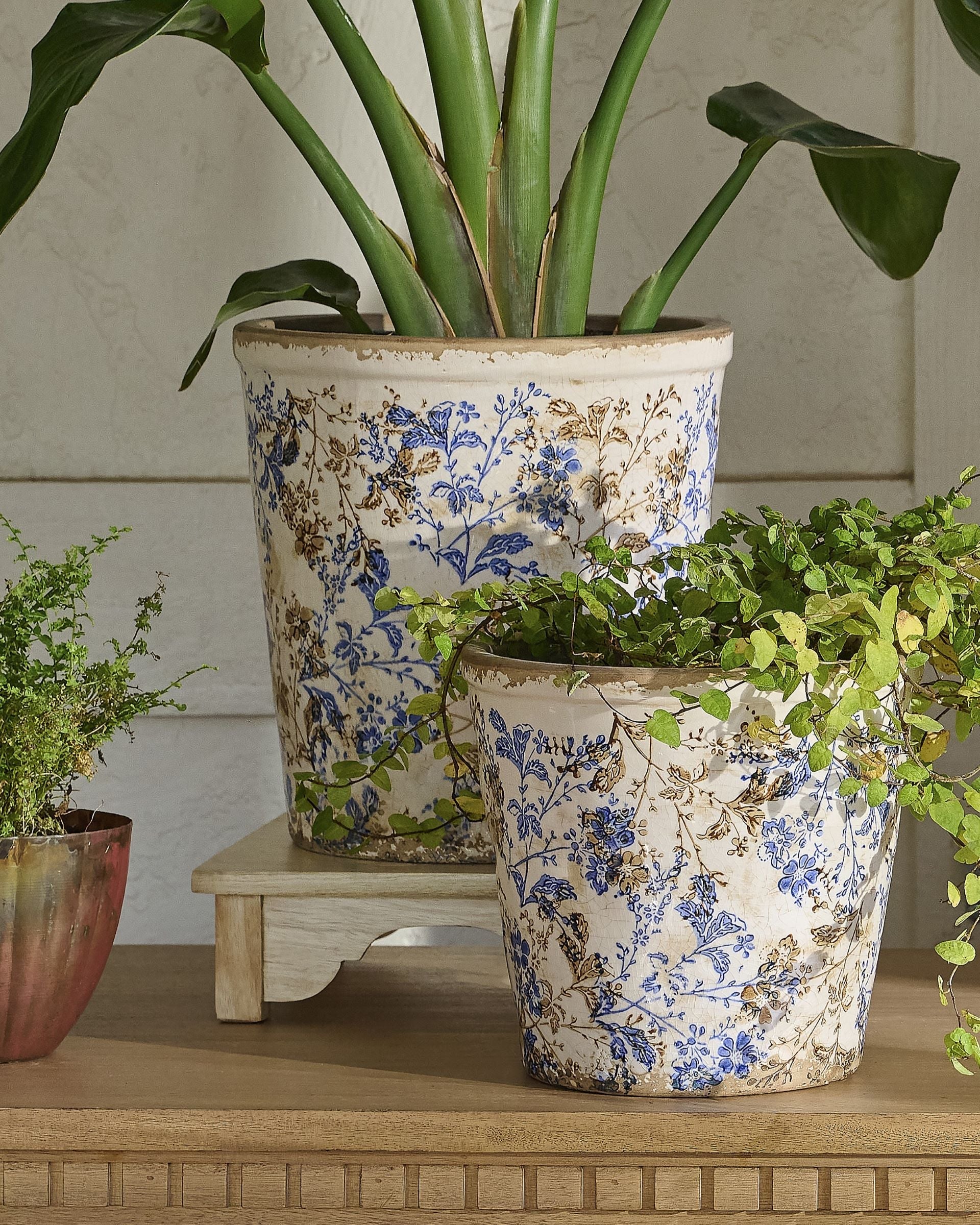 Blue and White Distressed Planter - Image 5