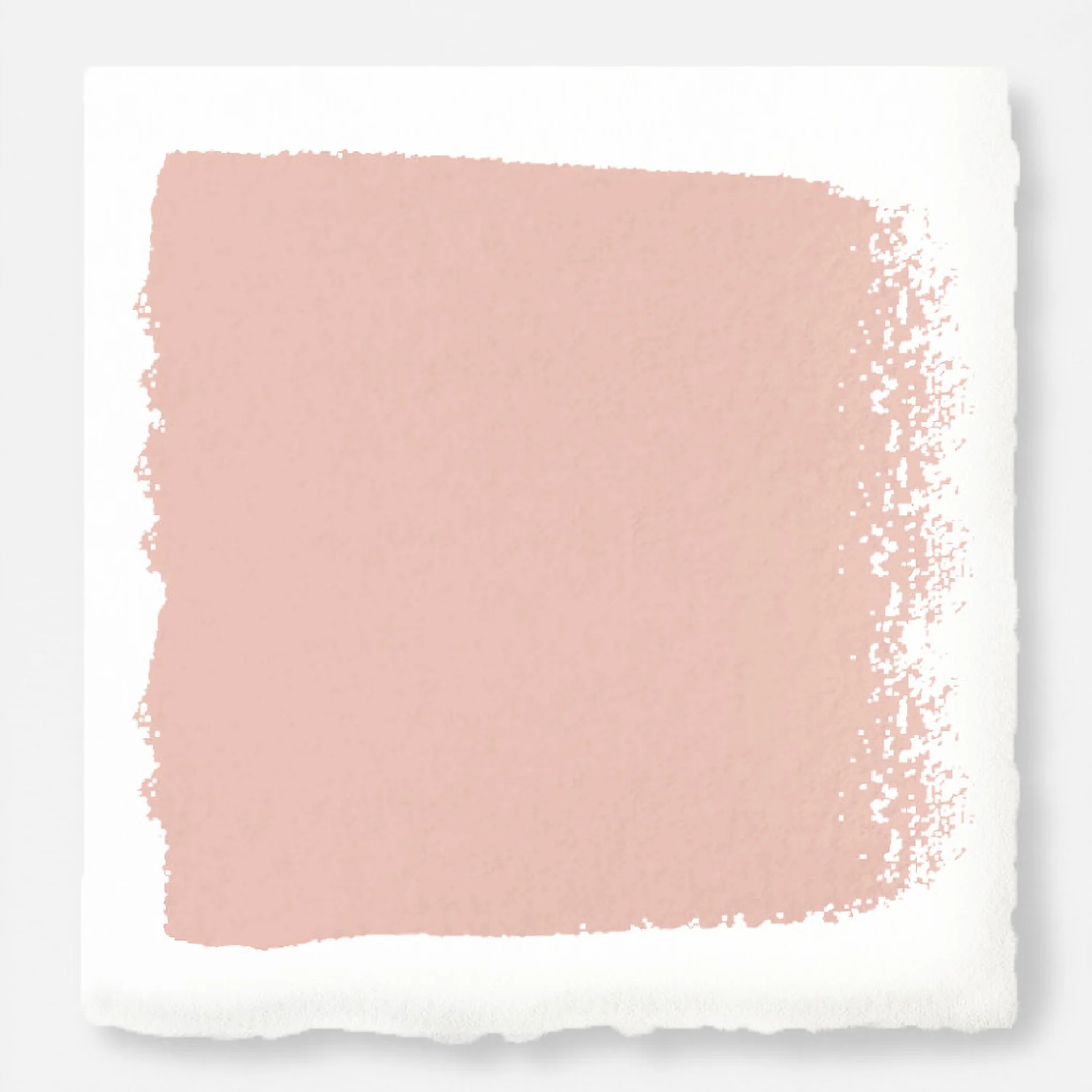 Cabbage Rose - Classic Interior Paint