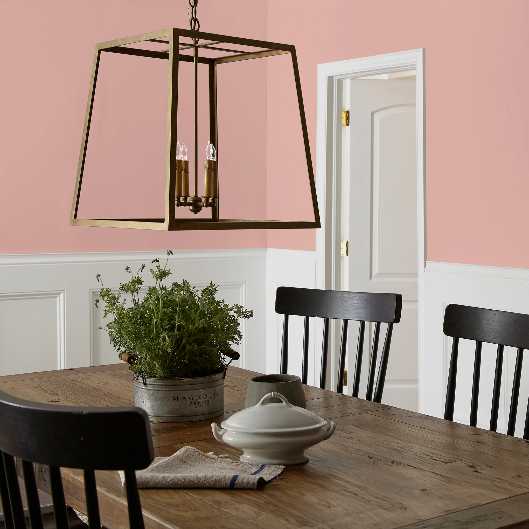Cabbage Rose - Premium Interior Paint - Image 5