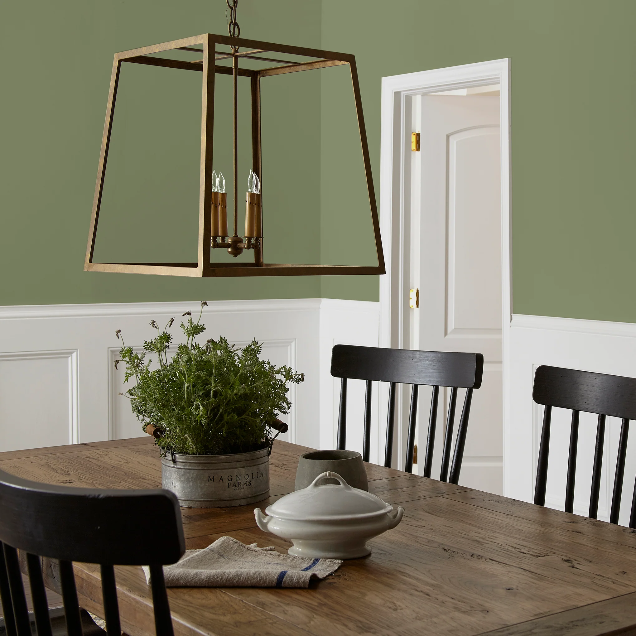 Celery Seed - Premium Interior Paint - Image 5