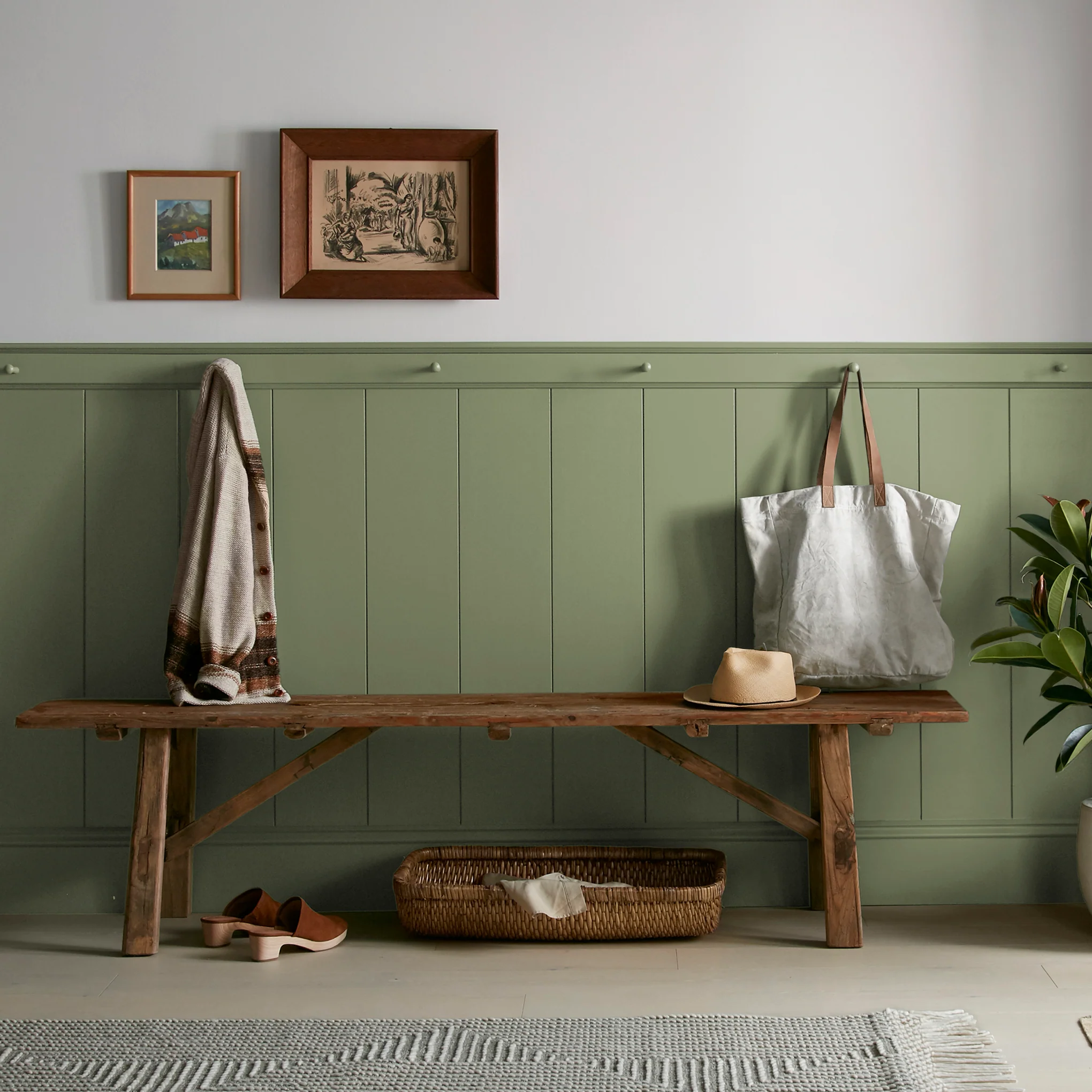 Celery Seed - Premium Interior Paint - Image 6