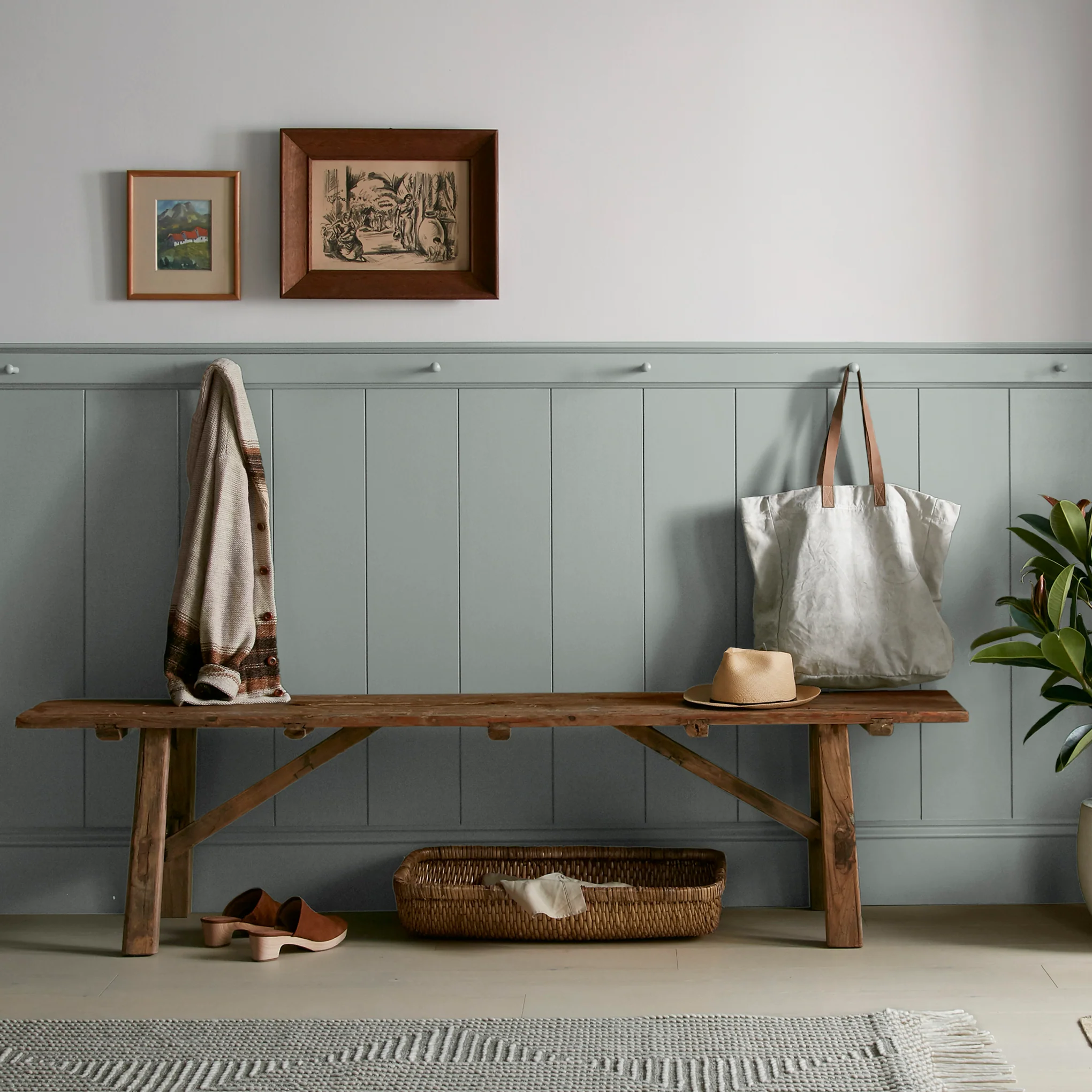 Clean Slate  -  Premium Interior Paint - Image 6