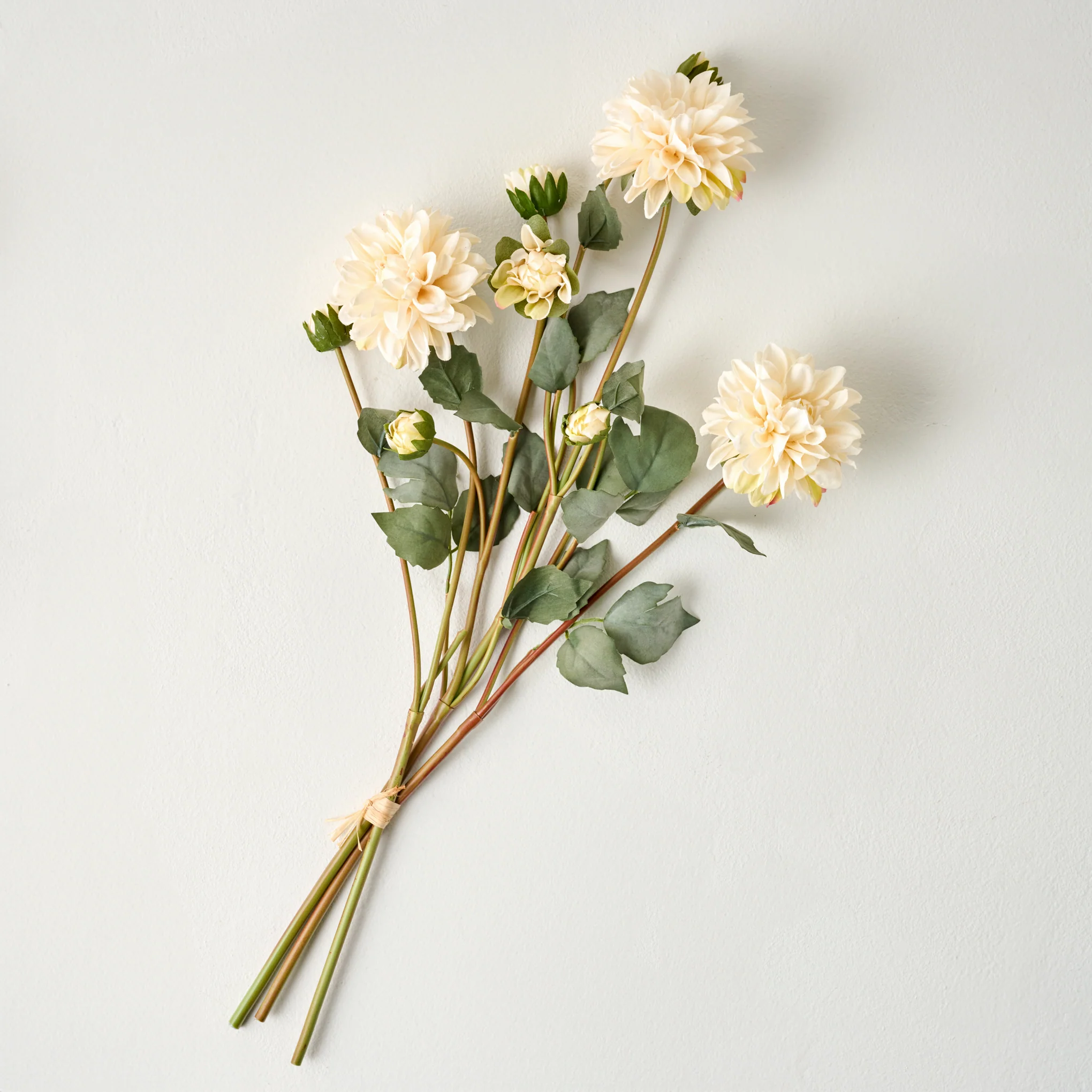 Dahlia Bloom Bundle