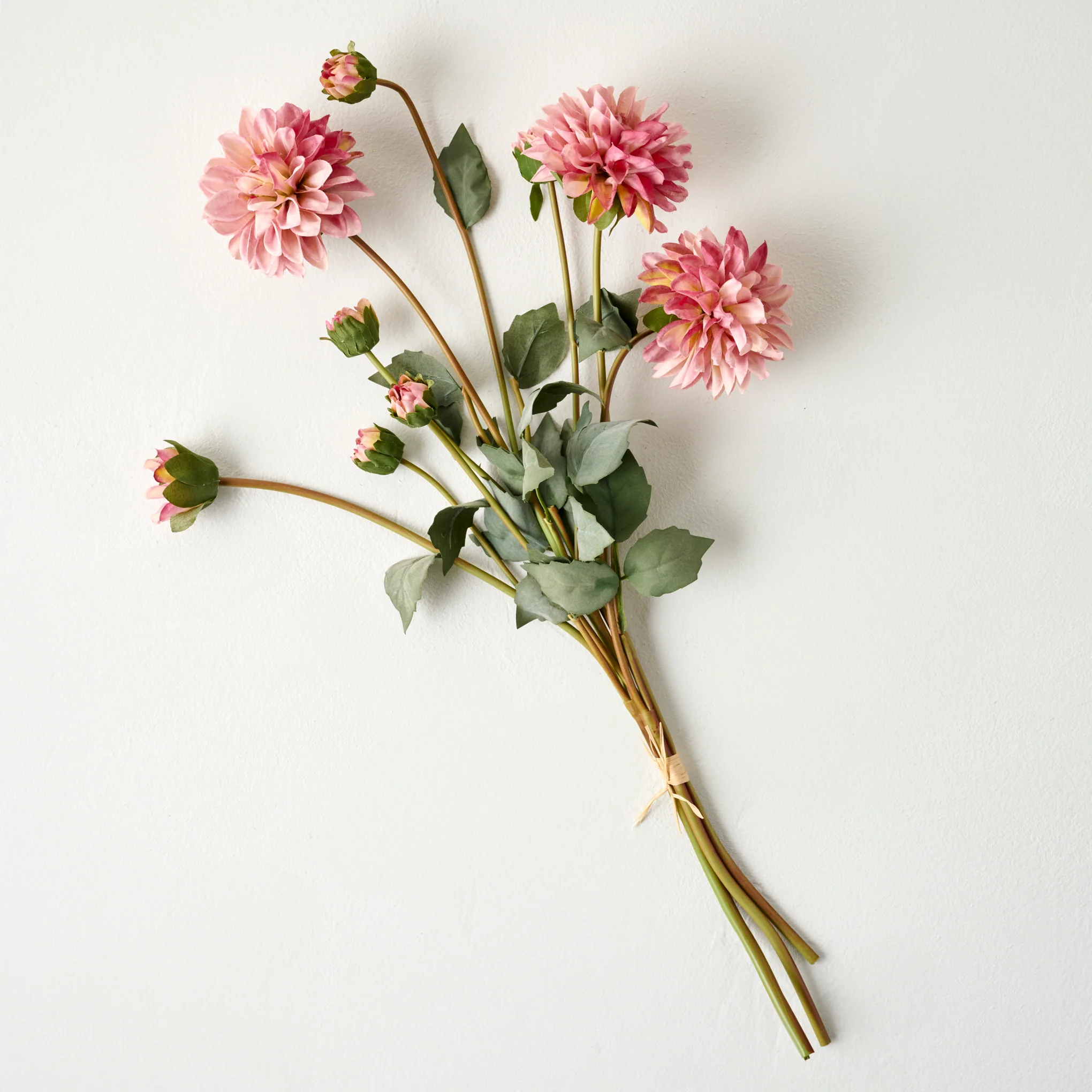 Dahlia Bloom Bundle - Image 5