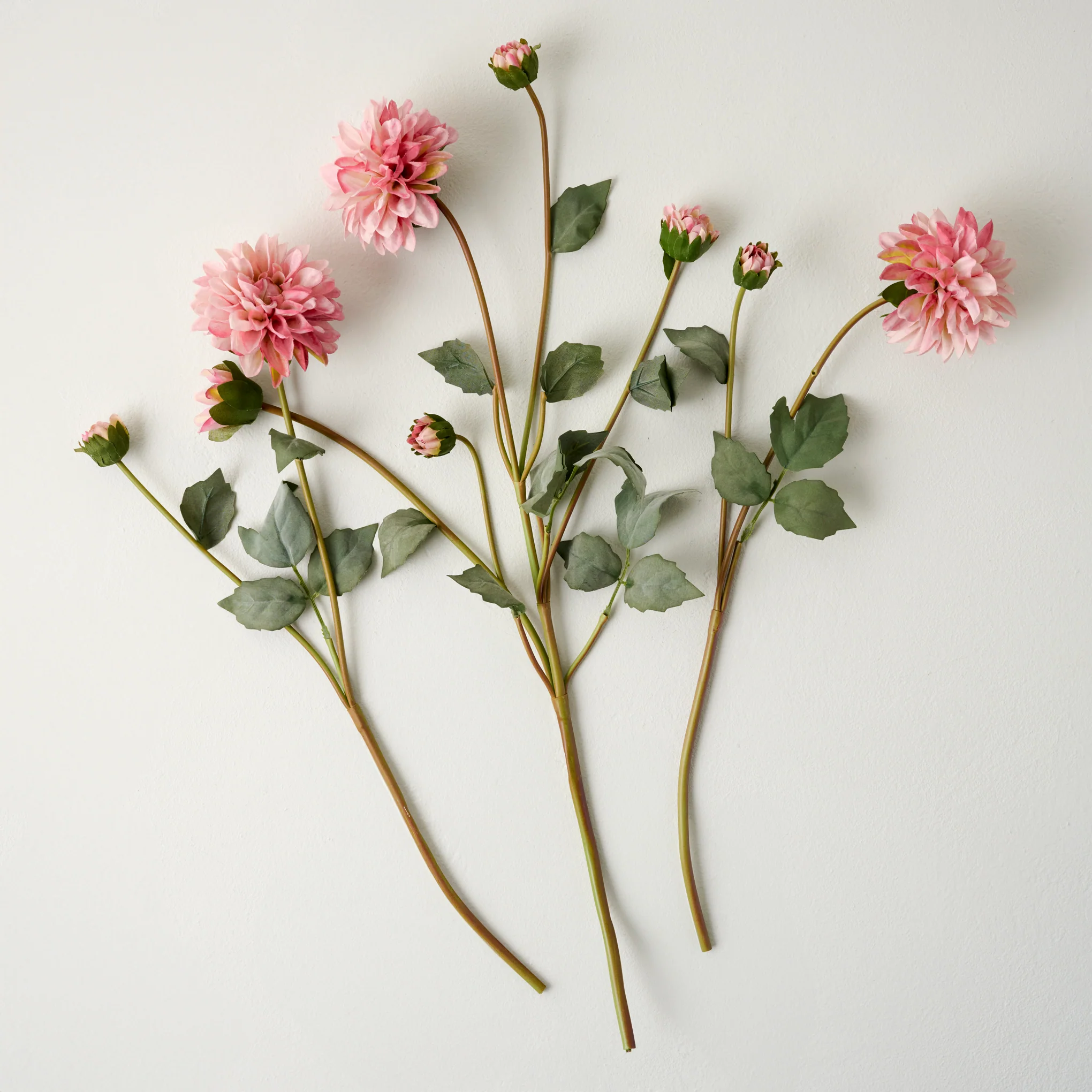 Dahlia Bloom Bundle - Image 6