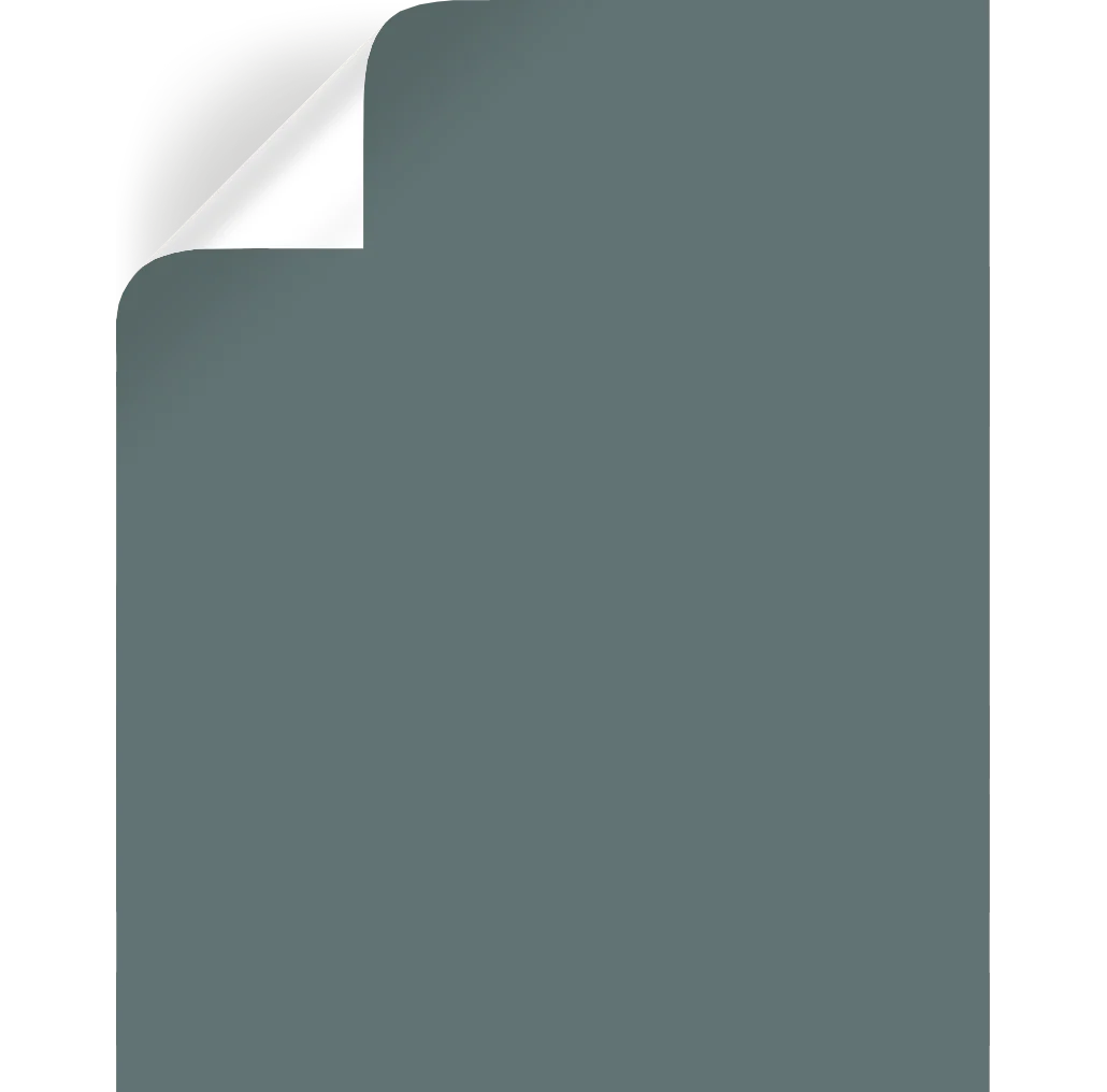 Duke Gray  -  Premium Interior Paint - Image 8