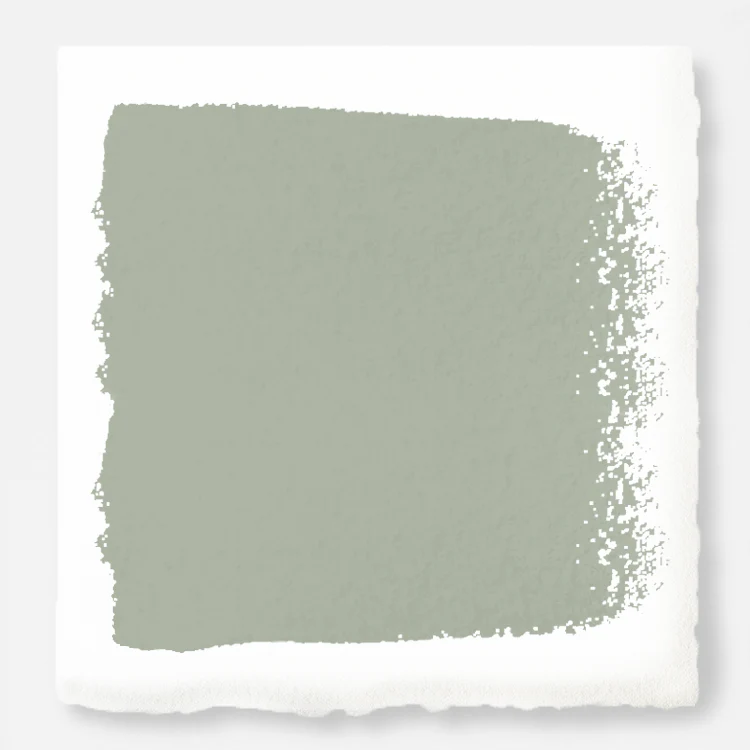 Early Riser - Premium Interior Paint