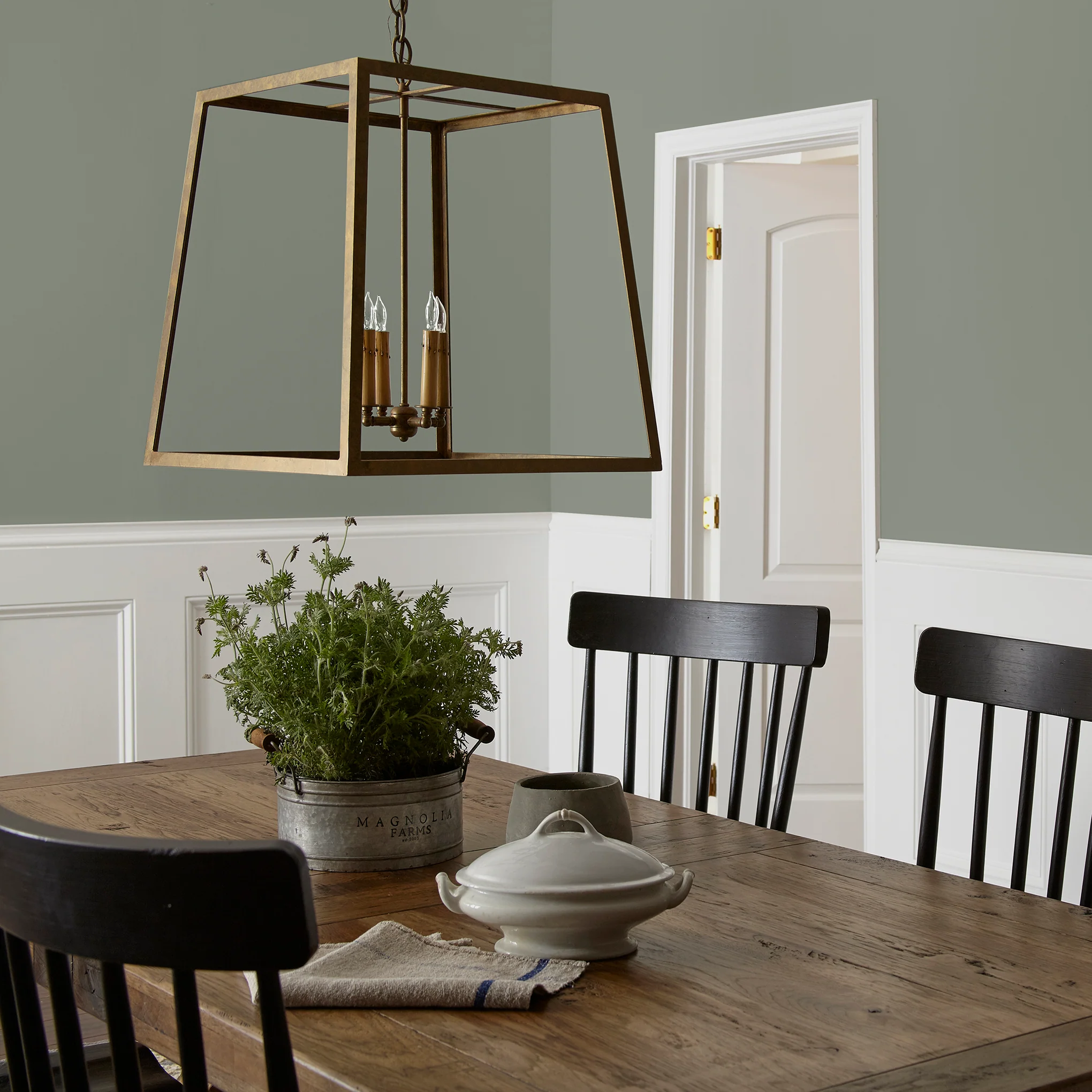 Eden - Premium Interior Paint - Image 5