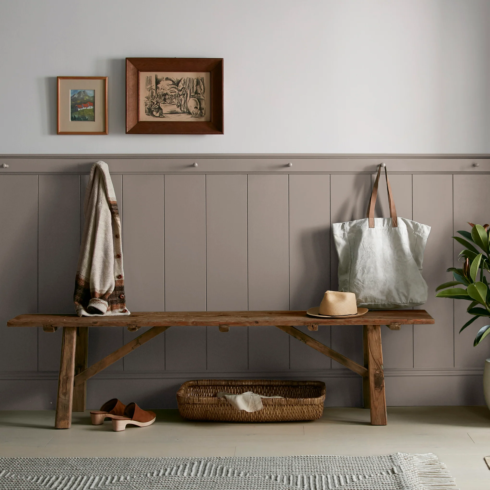 Elemental - Premium Interior Paint - Image 6