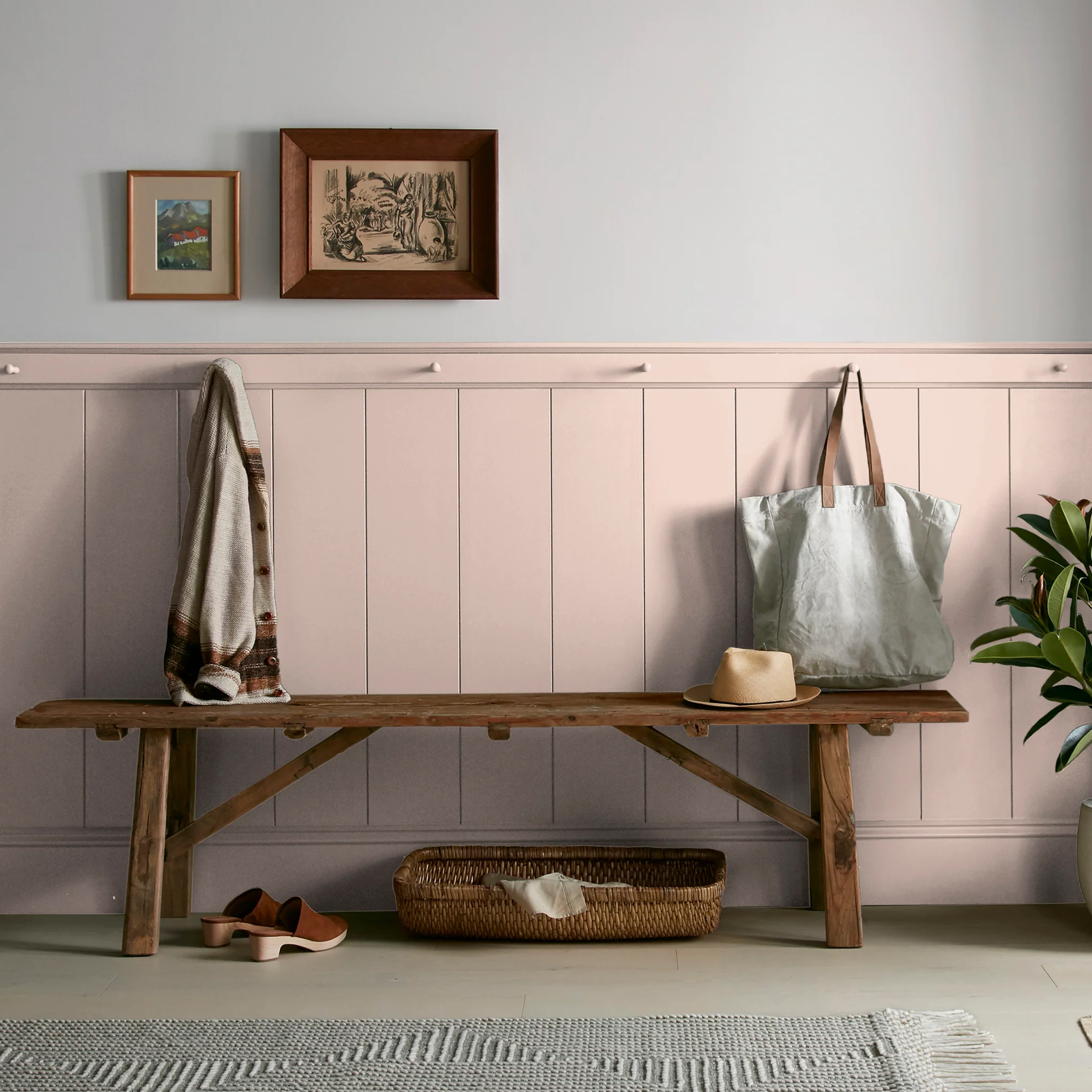 Ella Rose  -  Premium Interior Paint - Image 7