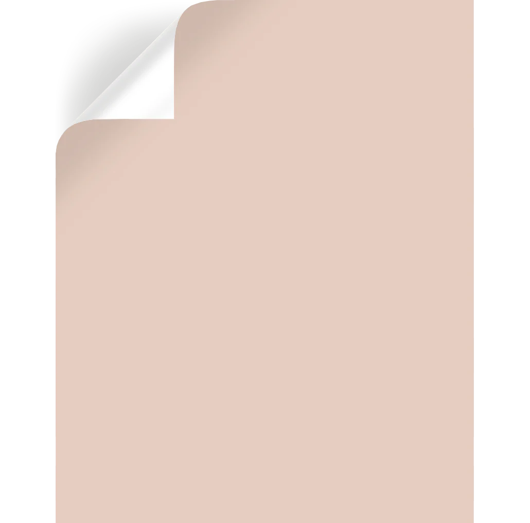 Ella Rose  -  Premium Interior Paint - Image 8