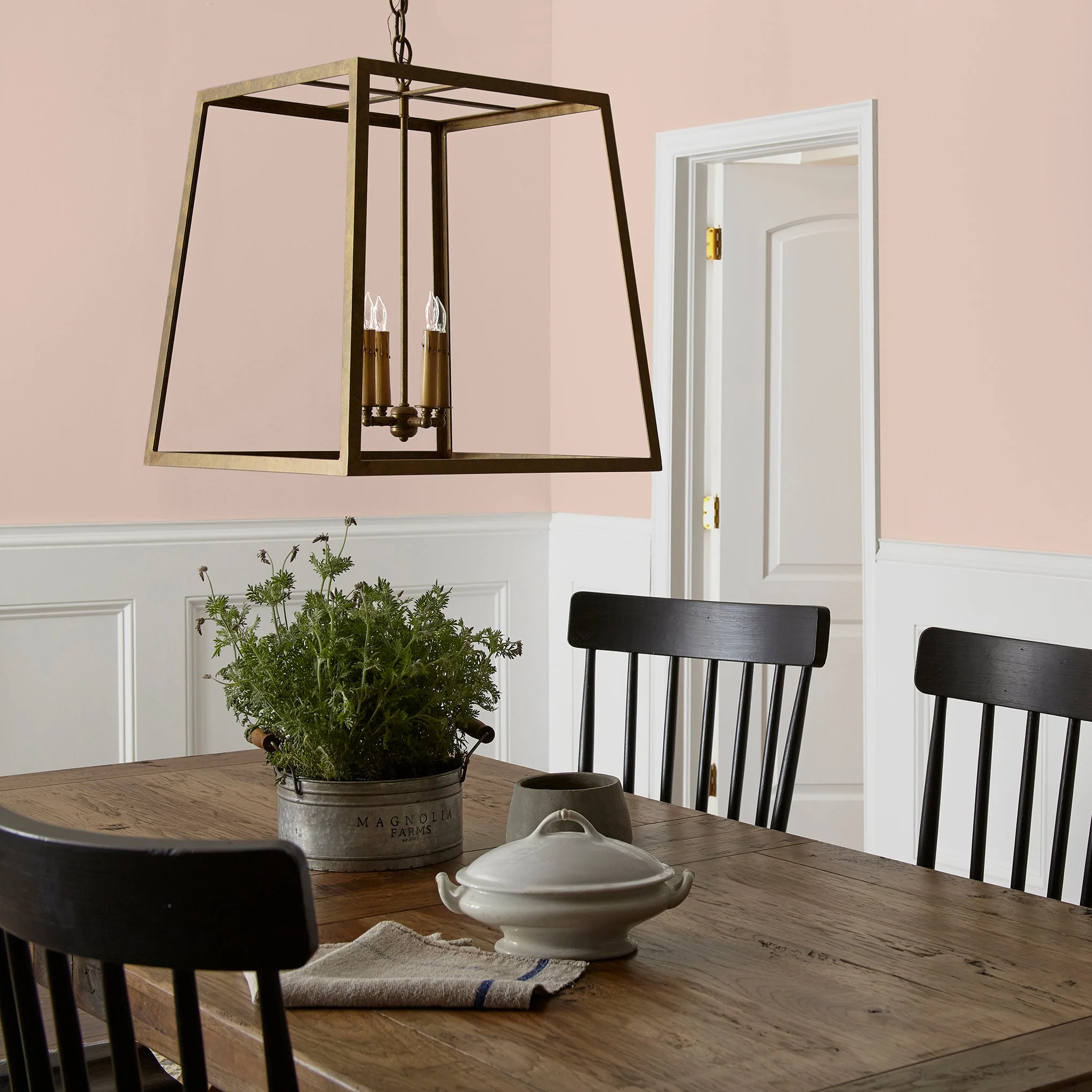 Ella Rose - Classic Interior Paint - Image 5