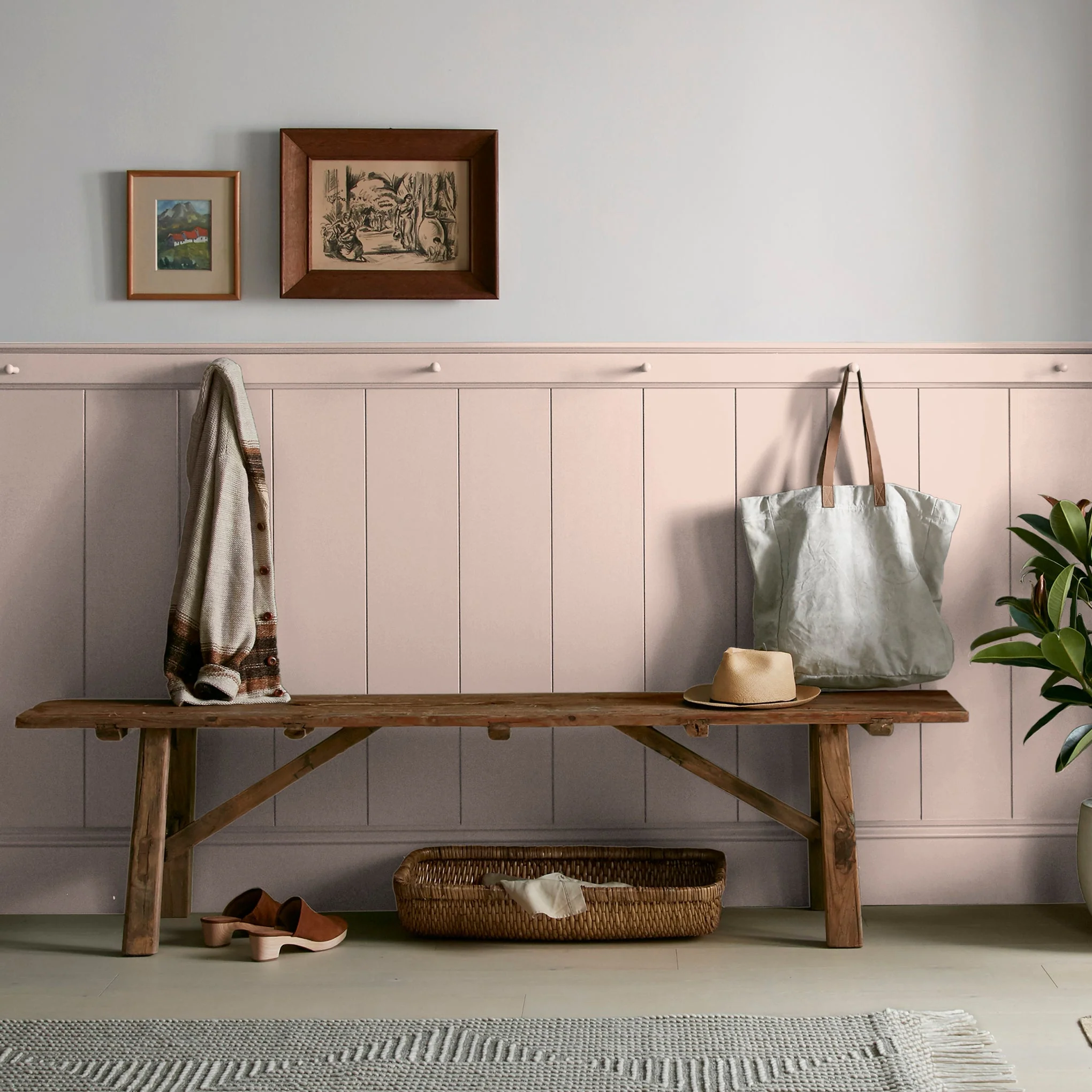 Ella Rose - Classic Interior Paint - Image 6