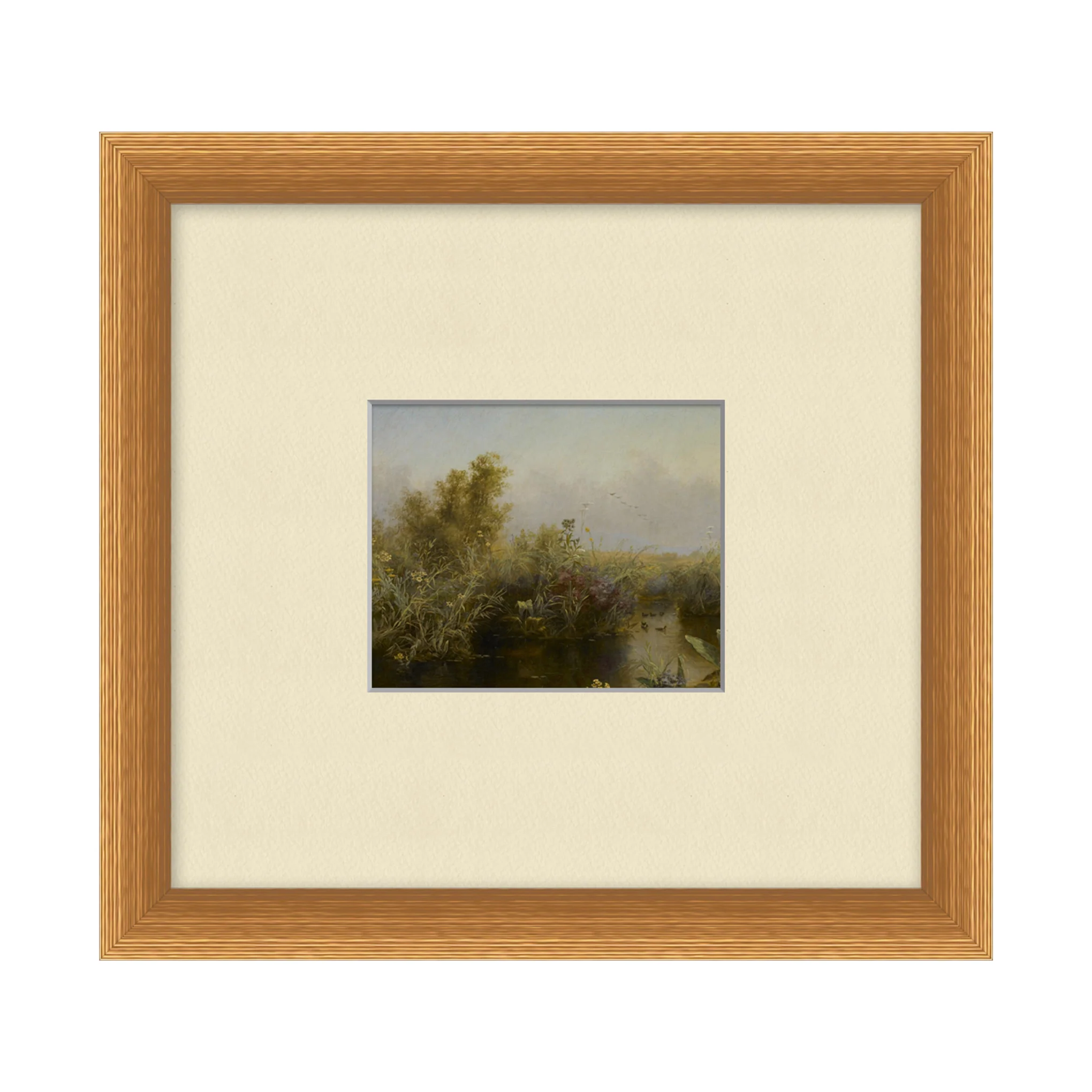 Estuary Study