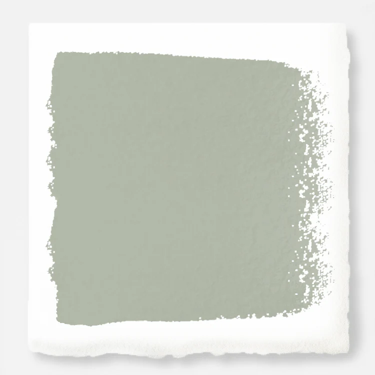 Flower Jar - Premium Interior Paint