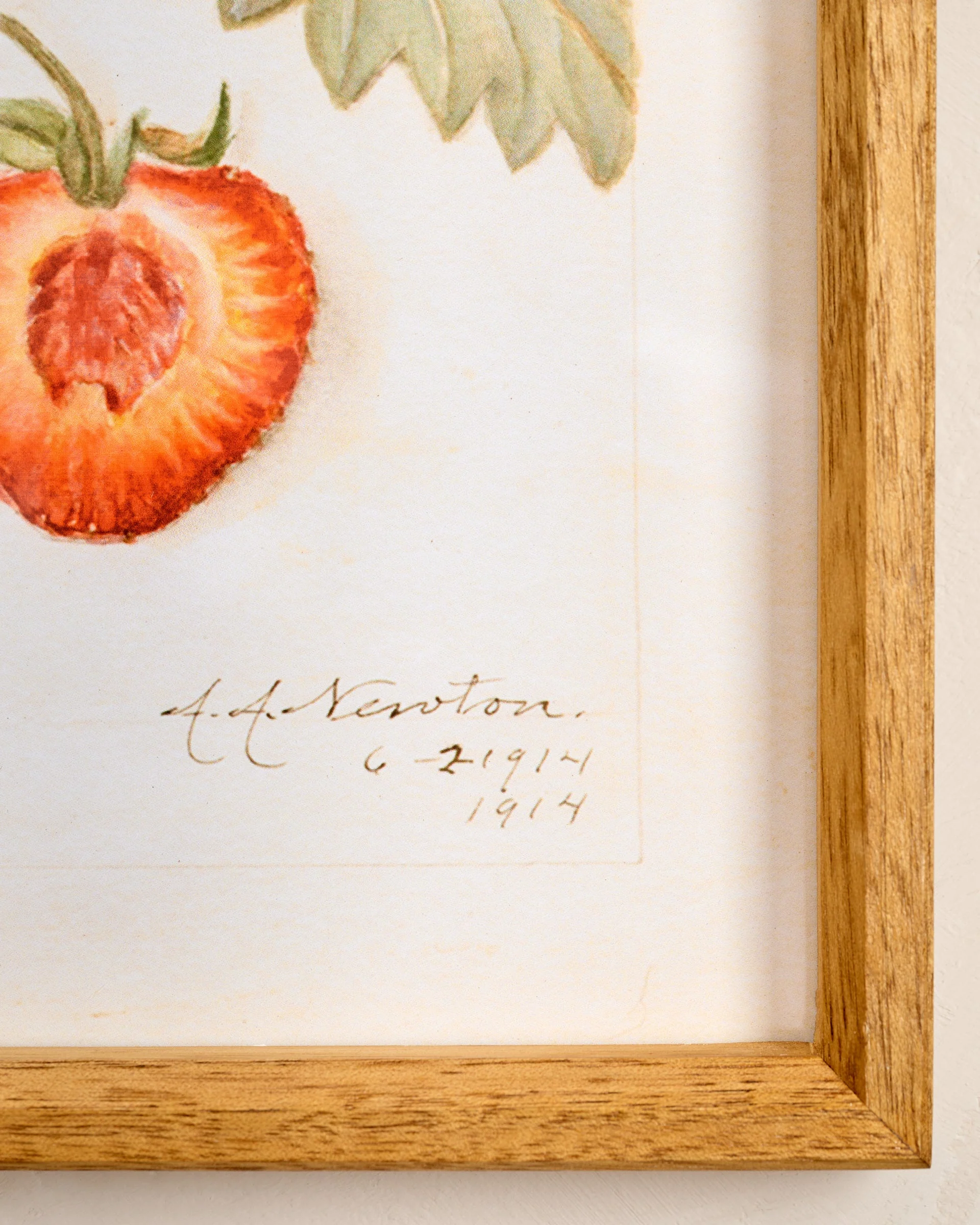 Fresh Strawberry Botanical Framed Print - Image 3