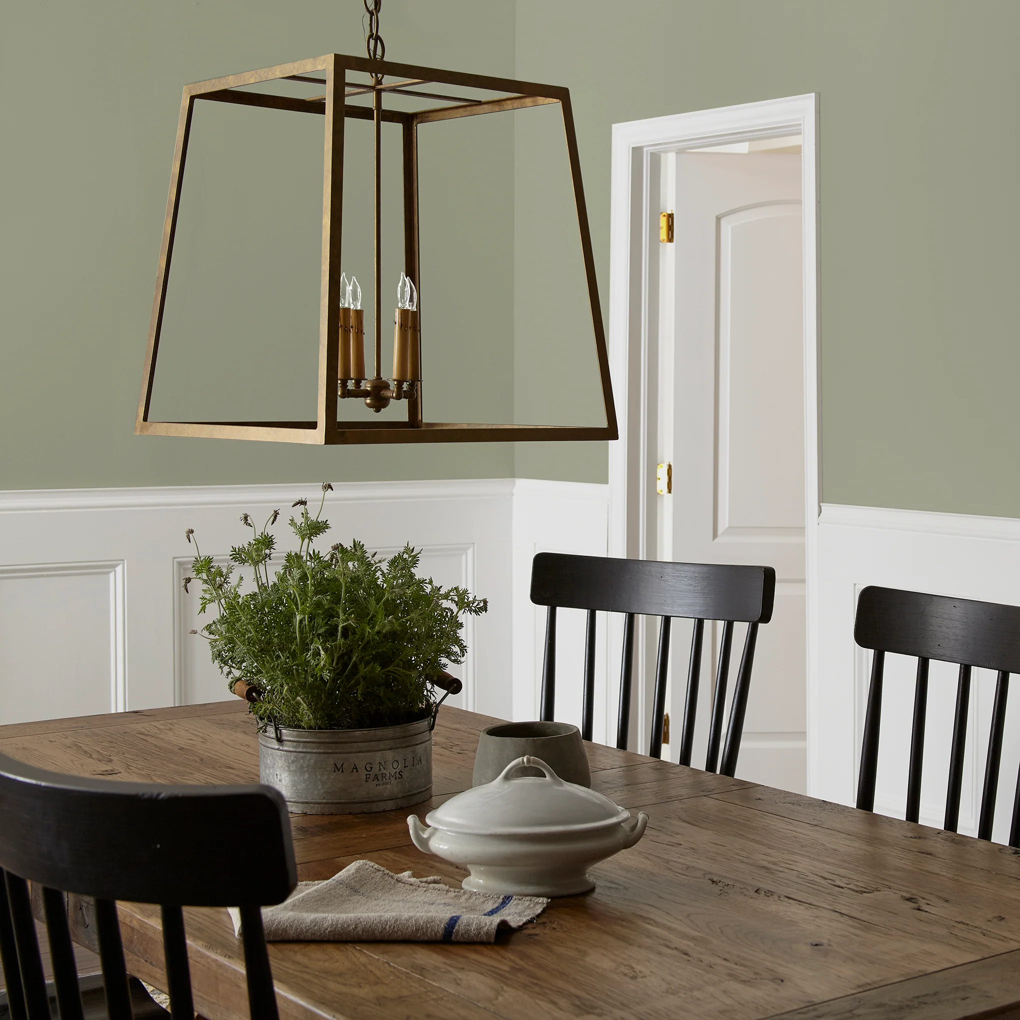 Garden Essential -  Classic Interior Paint - Image 5