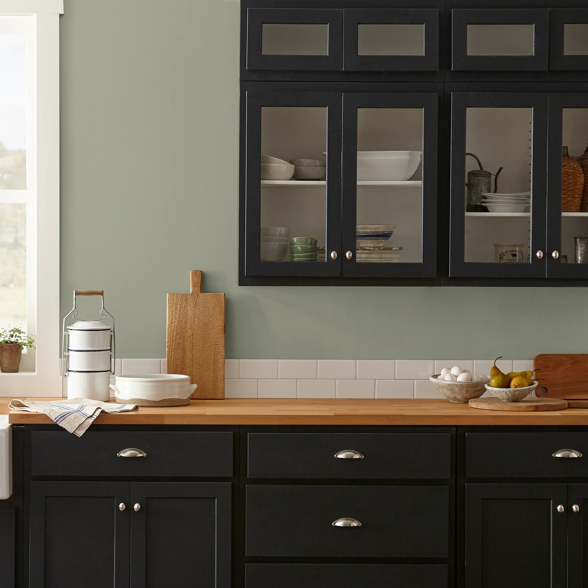 Garden Essential -  Classic Interior Paint - Image 7