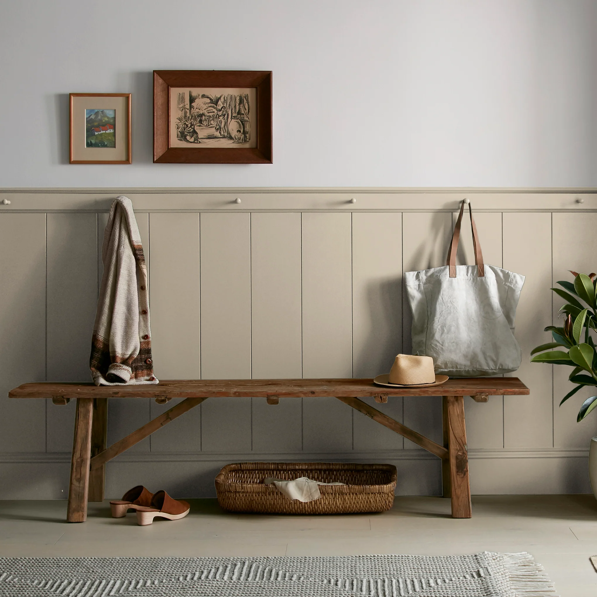 Gold Moss - Premium Interior Paint - Image 6