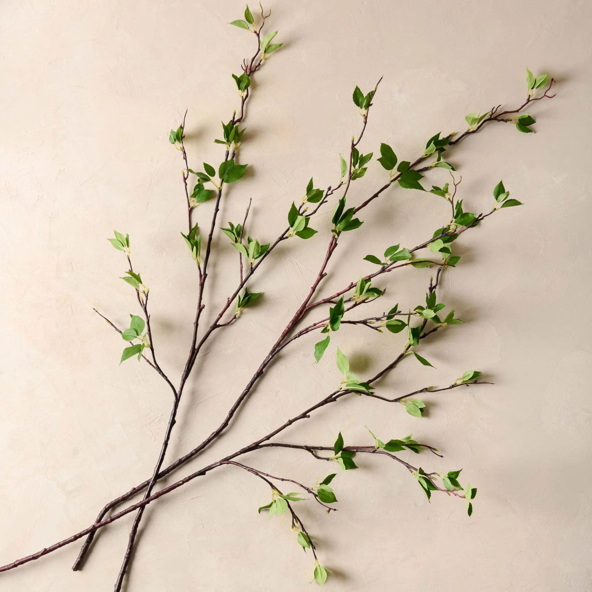 Green Leaf Branch - Image 2