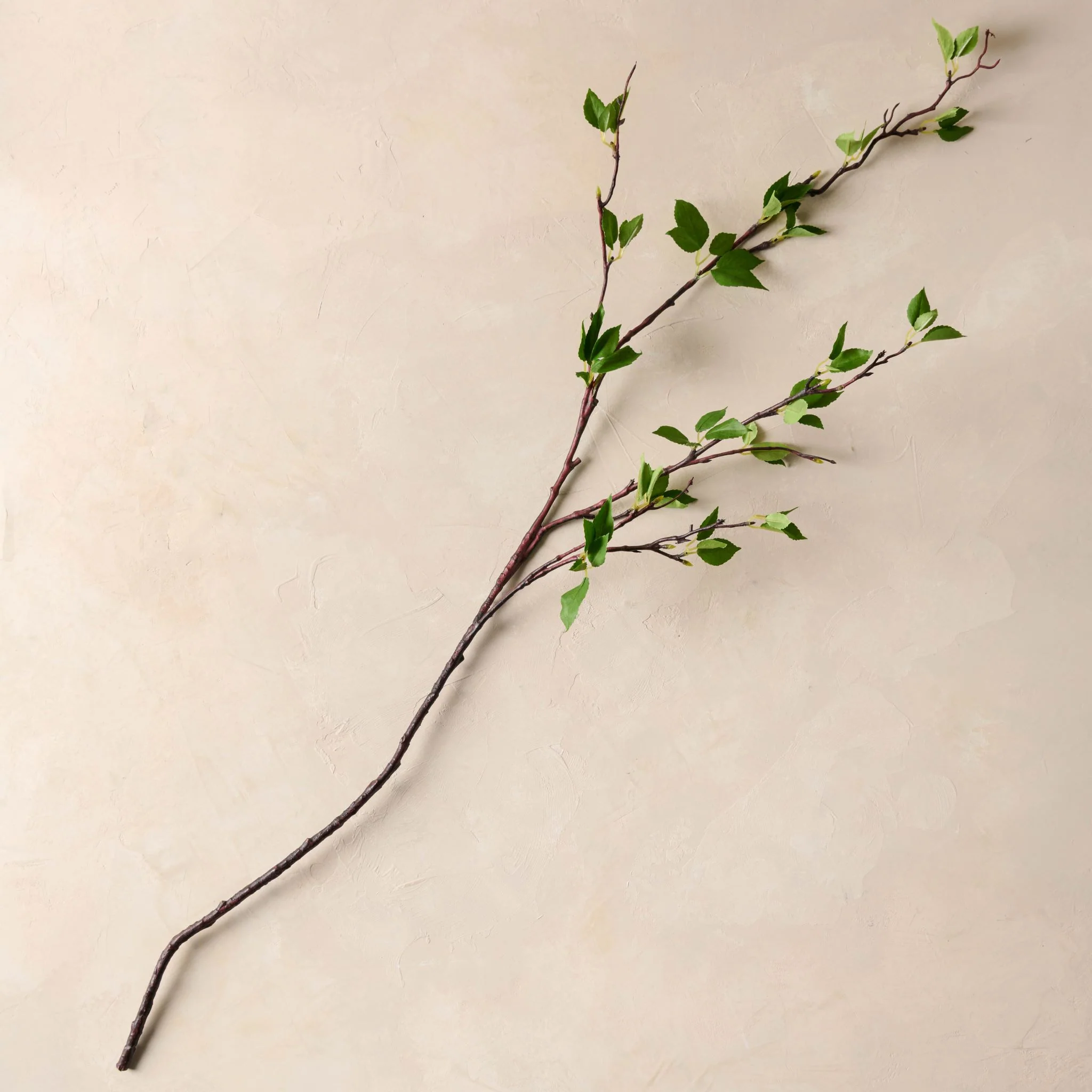 Green Leaf Branch - Image 3