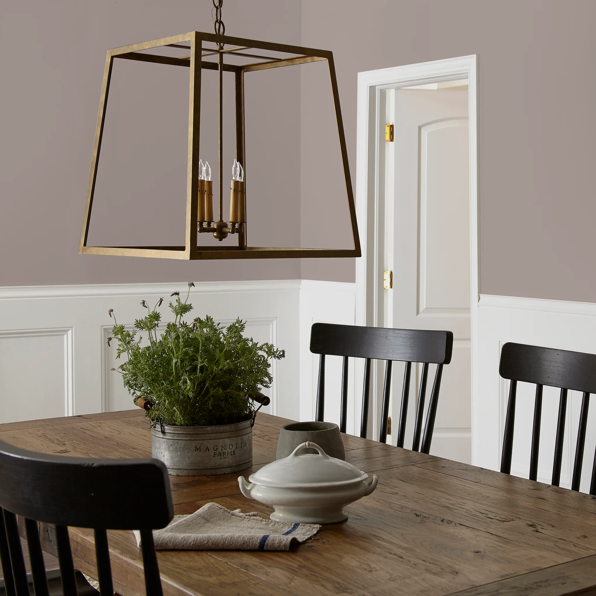 Homebody - Premium Interior Paint - Image 5