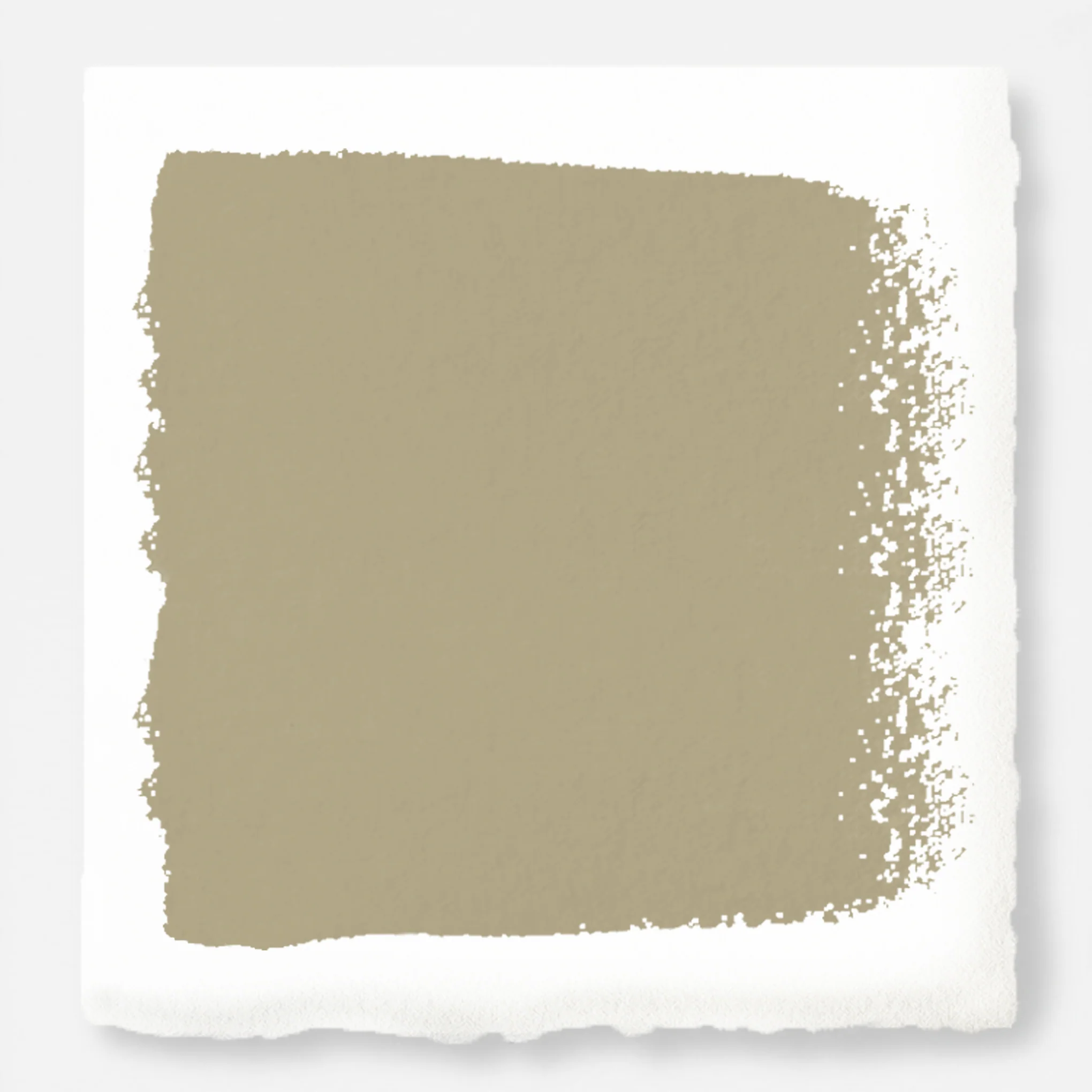 Juniper Tree  -  Premium Interior Paint