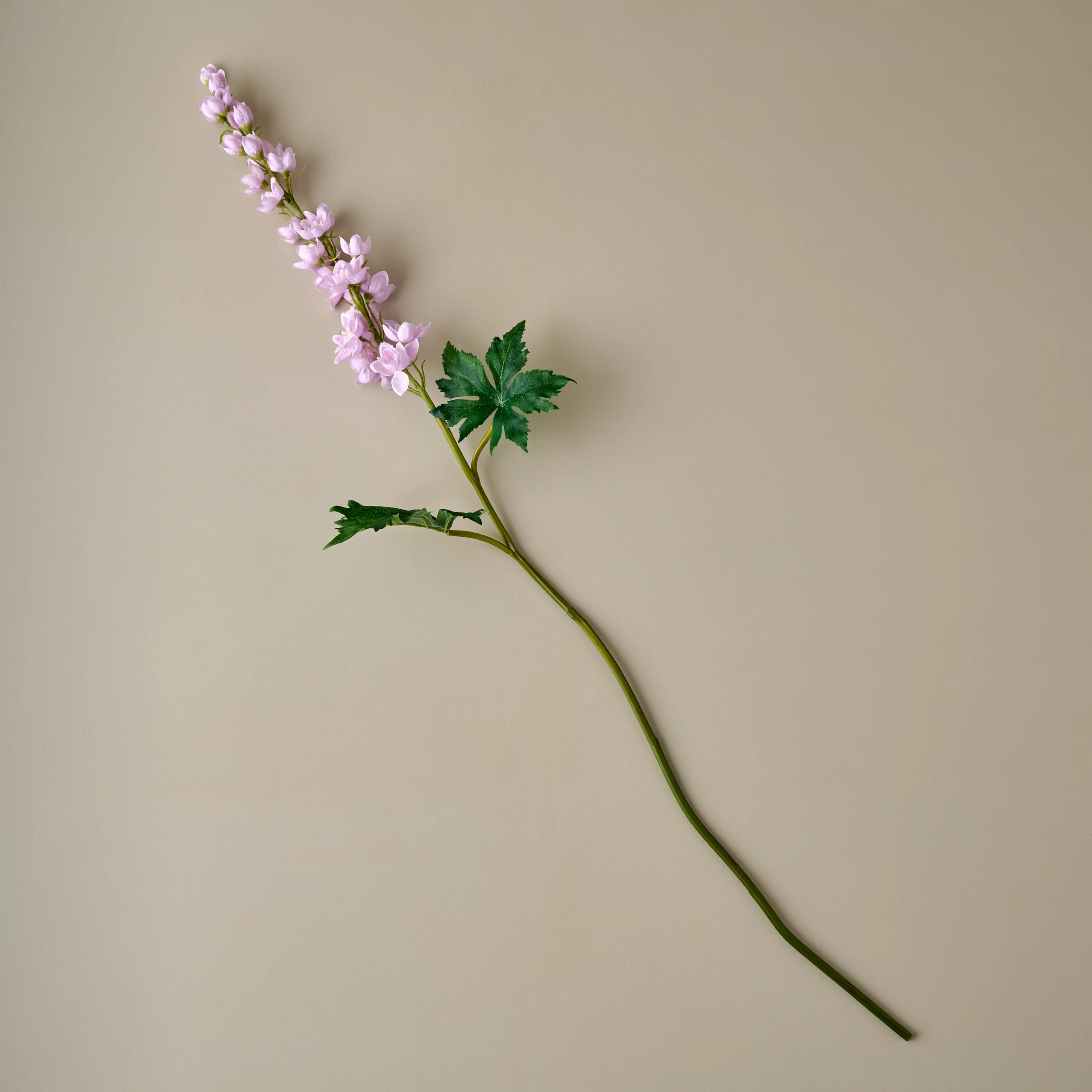 Larkspur Stem - Image 2