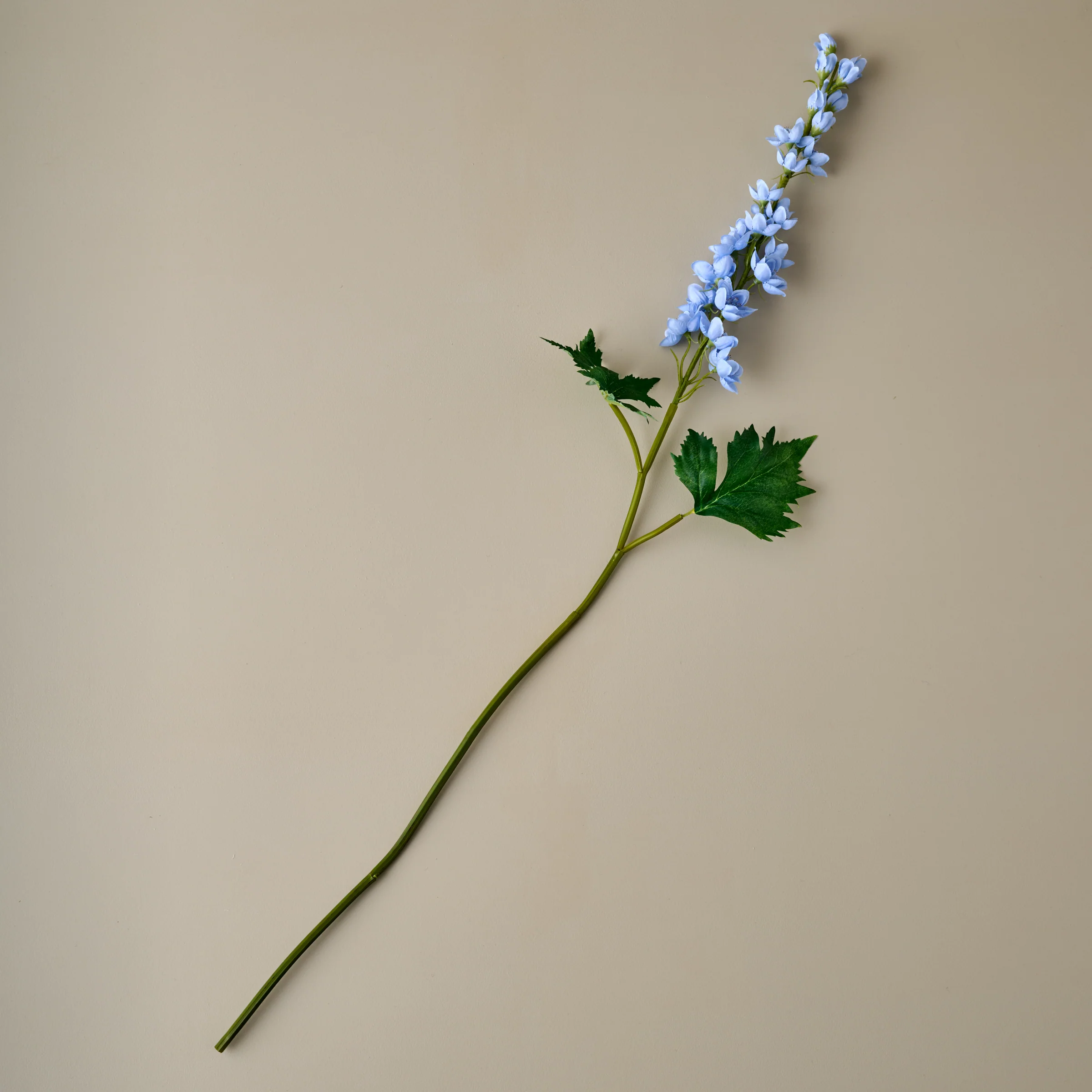 Larkspur Stem - Image 4