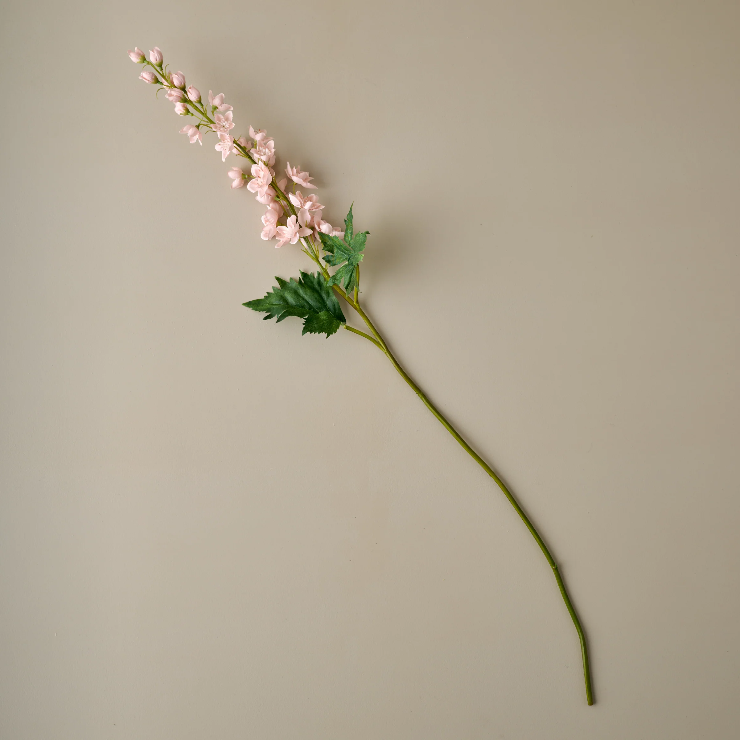 Larkspur Stem - Image 6
