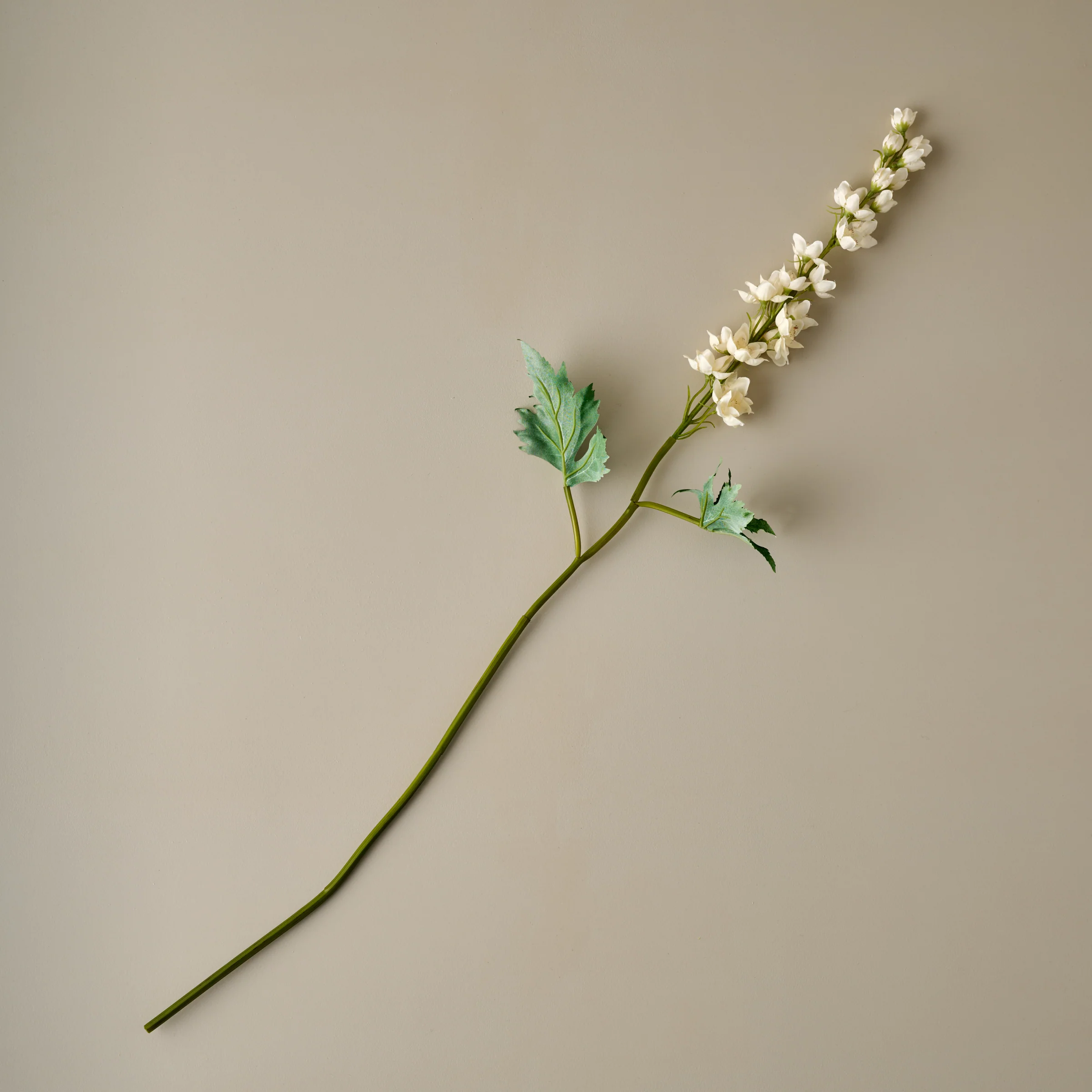 Larkspur Stem - Image 7