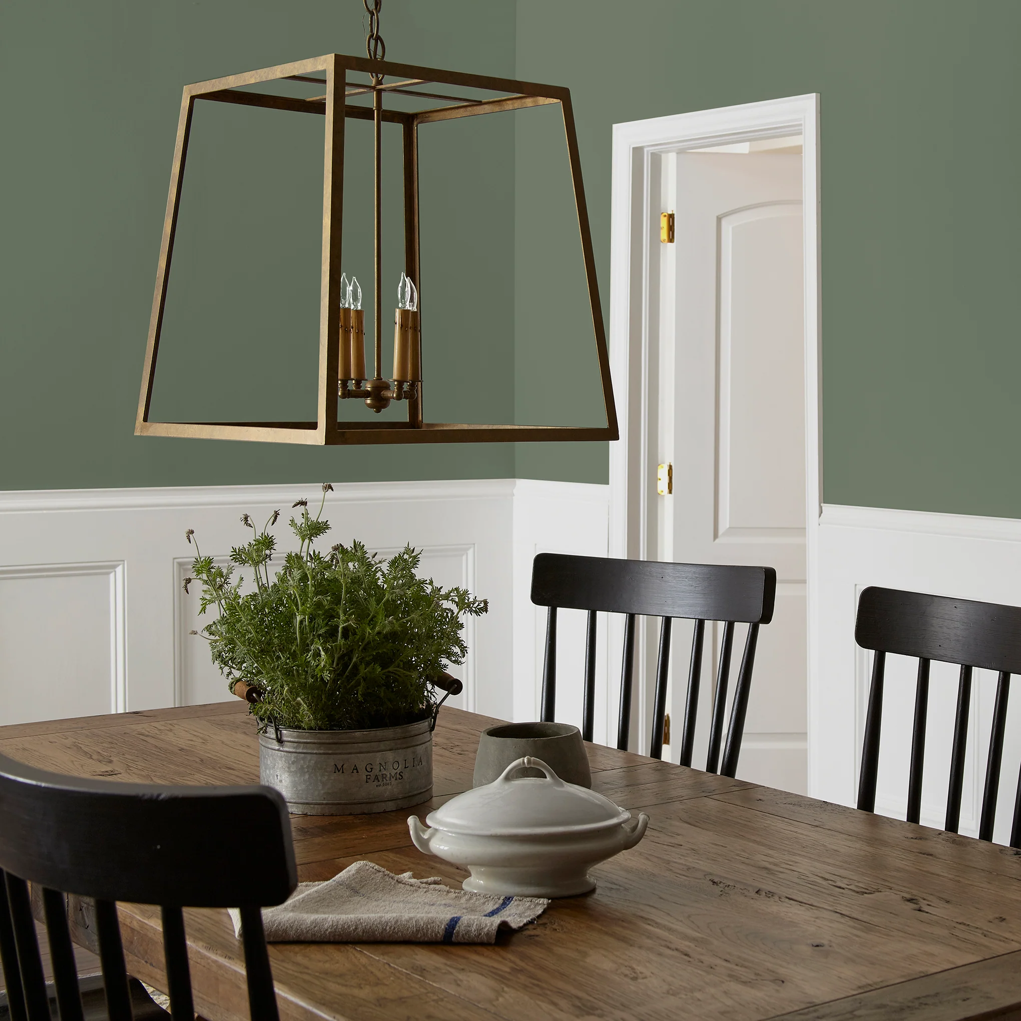Lemon Leaves - Premium Interior Paint - Image 5