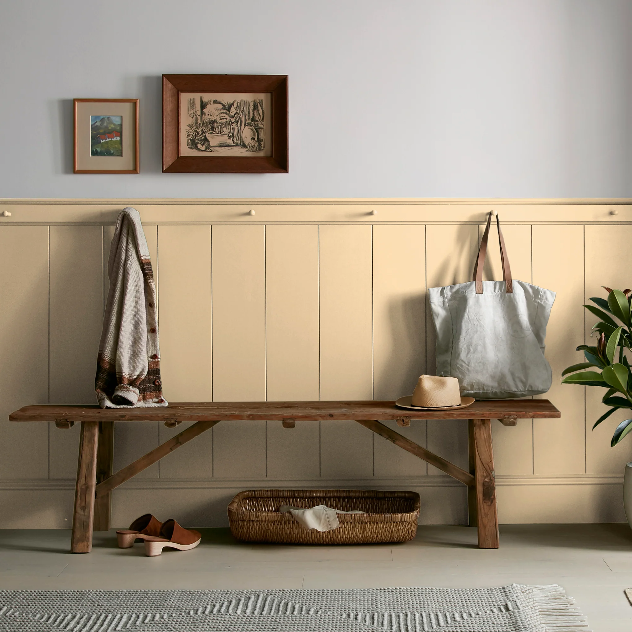 Lemony - Premium Interior Paint - Image 6