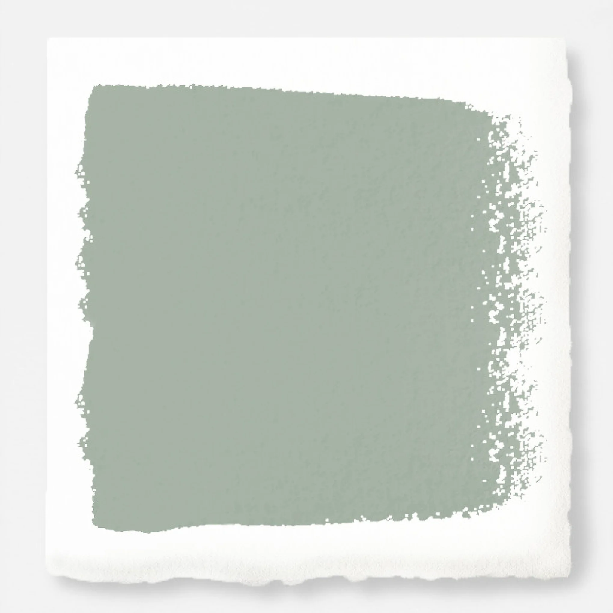 Local Greenhouse - Classic Interior Paint