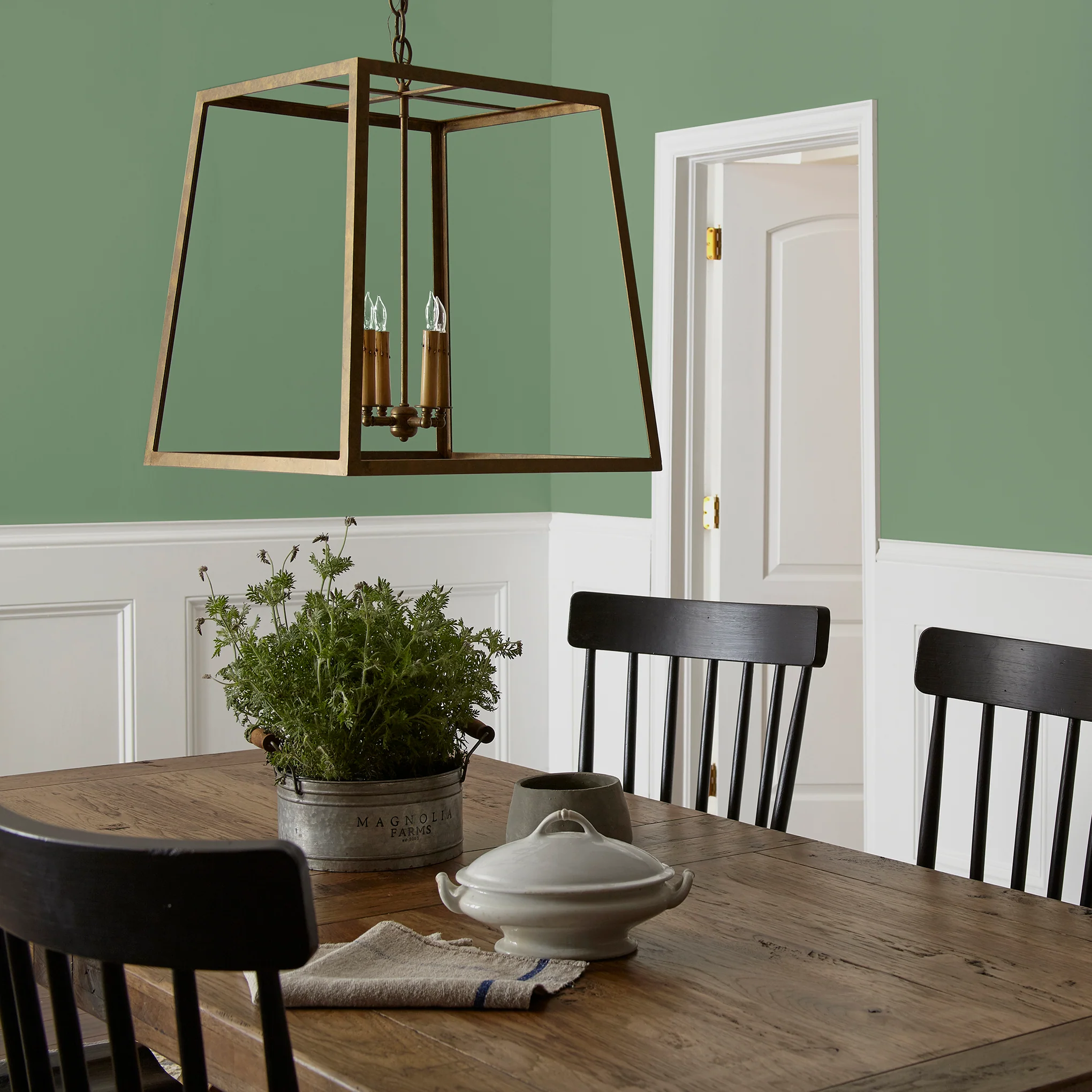 Magnolia Green  -  Premium Interior Paint - Image 5