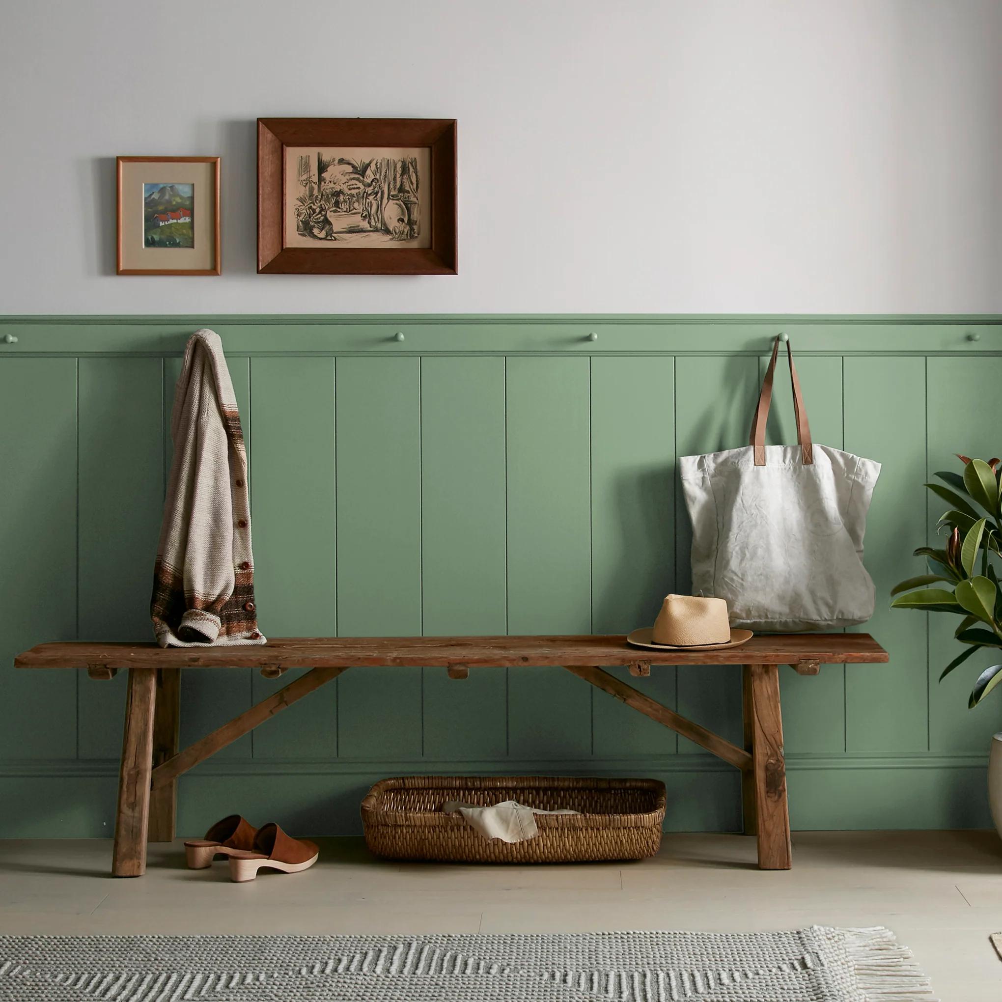 Magnolia Green  -  Premium Interior Paint - Image 6