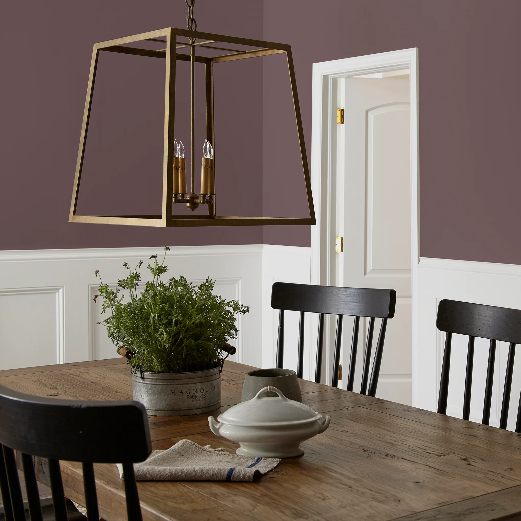 Moody Fig -  Classic Interior Paint - Image 5