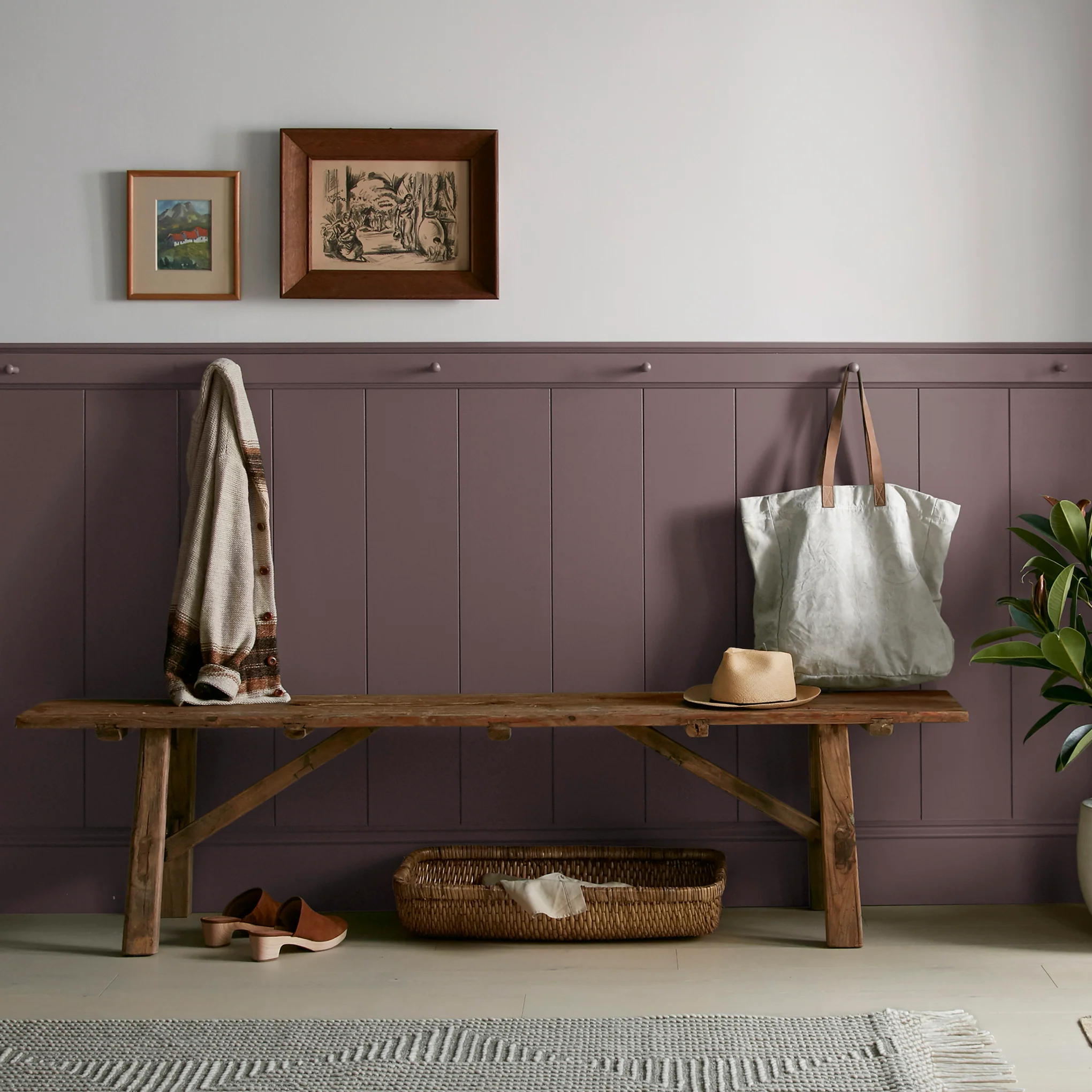 Moody Fig -  Classic Interior Paint - Image 6