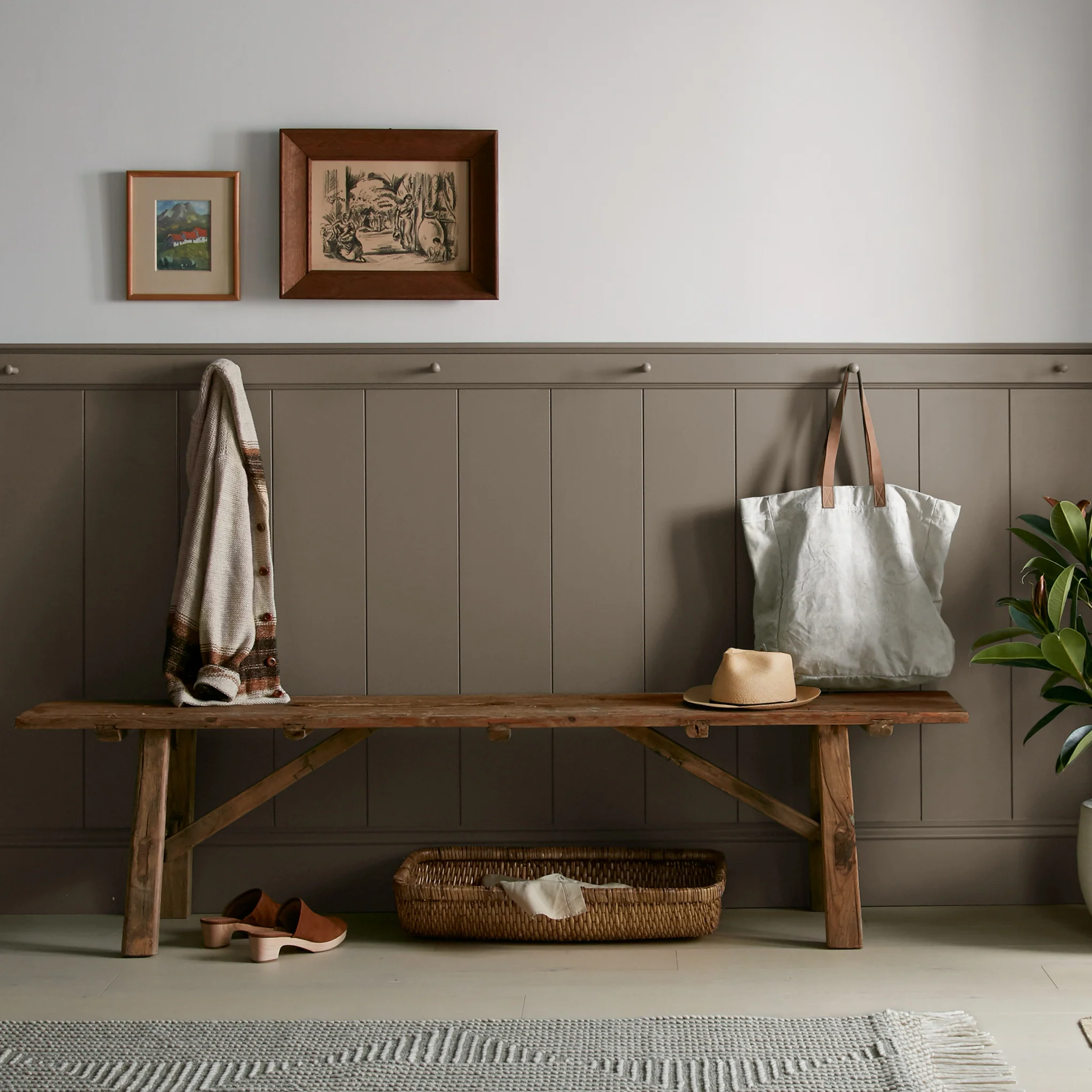 Mosswood - Premium Interior Paint - Image 3