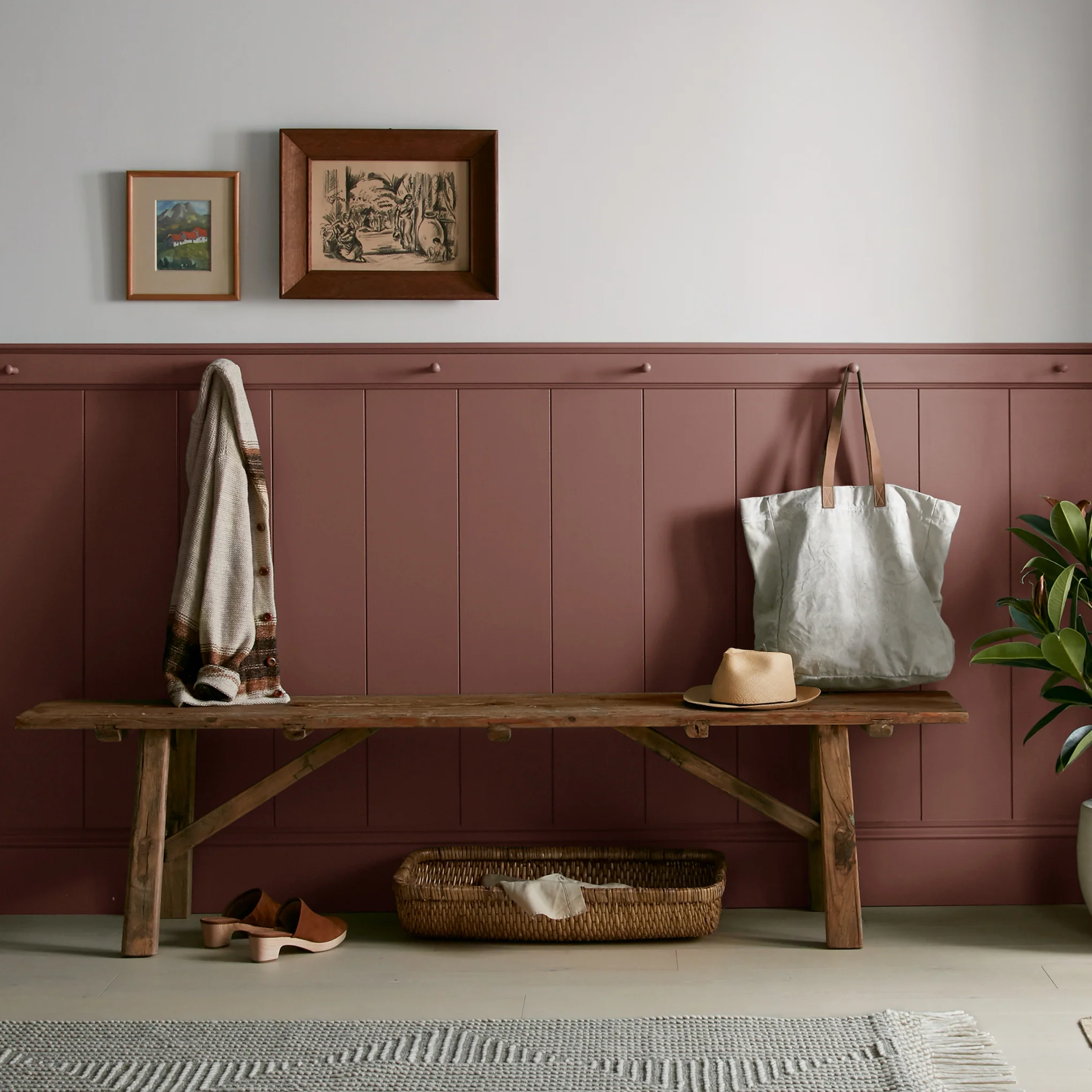 Mountain Currant - Premium Interior Paint - Image 3