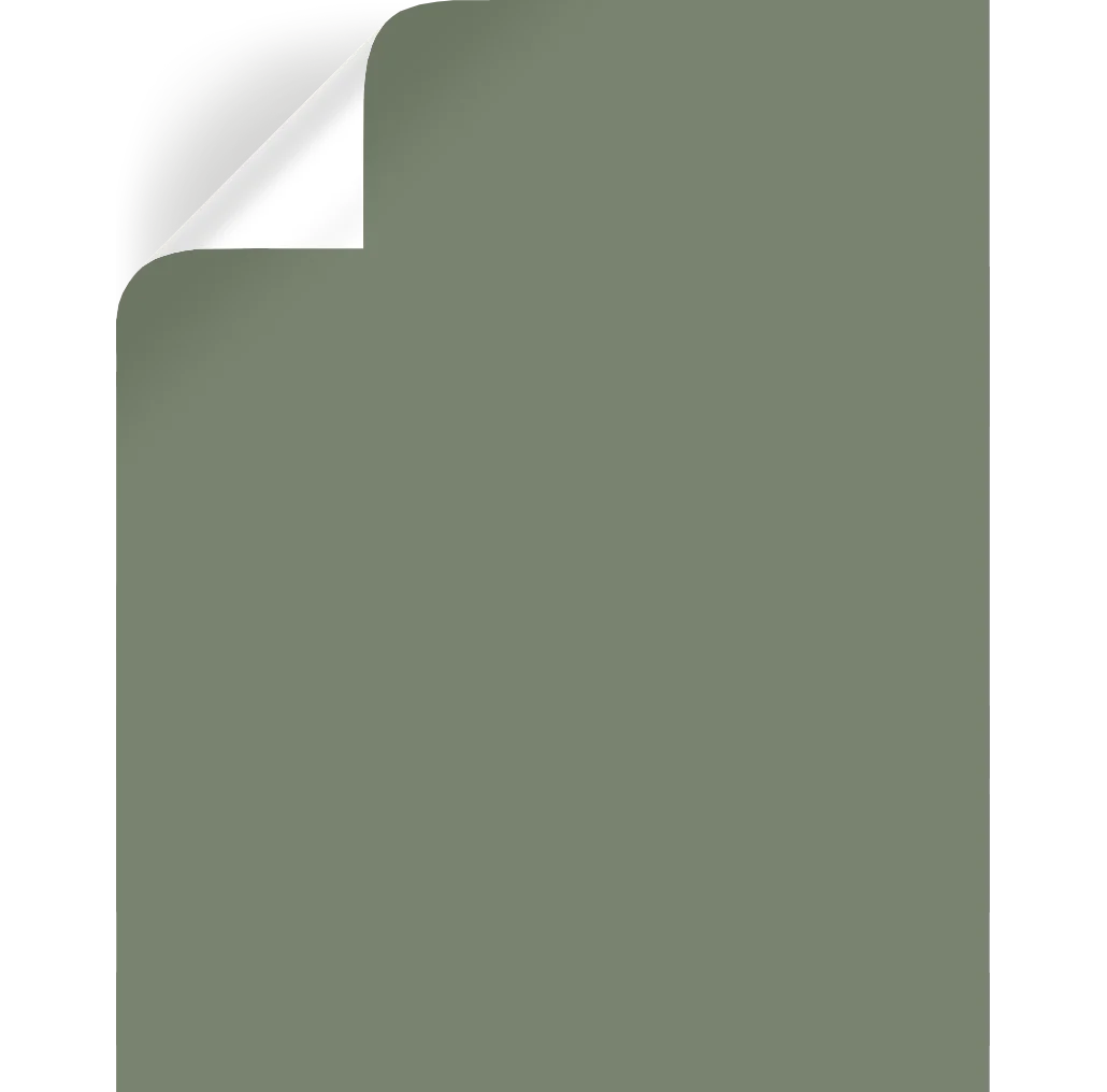 Olive Grove - Premium Interior Paint - Image 8