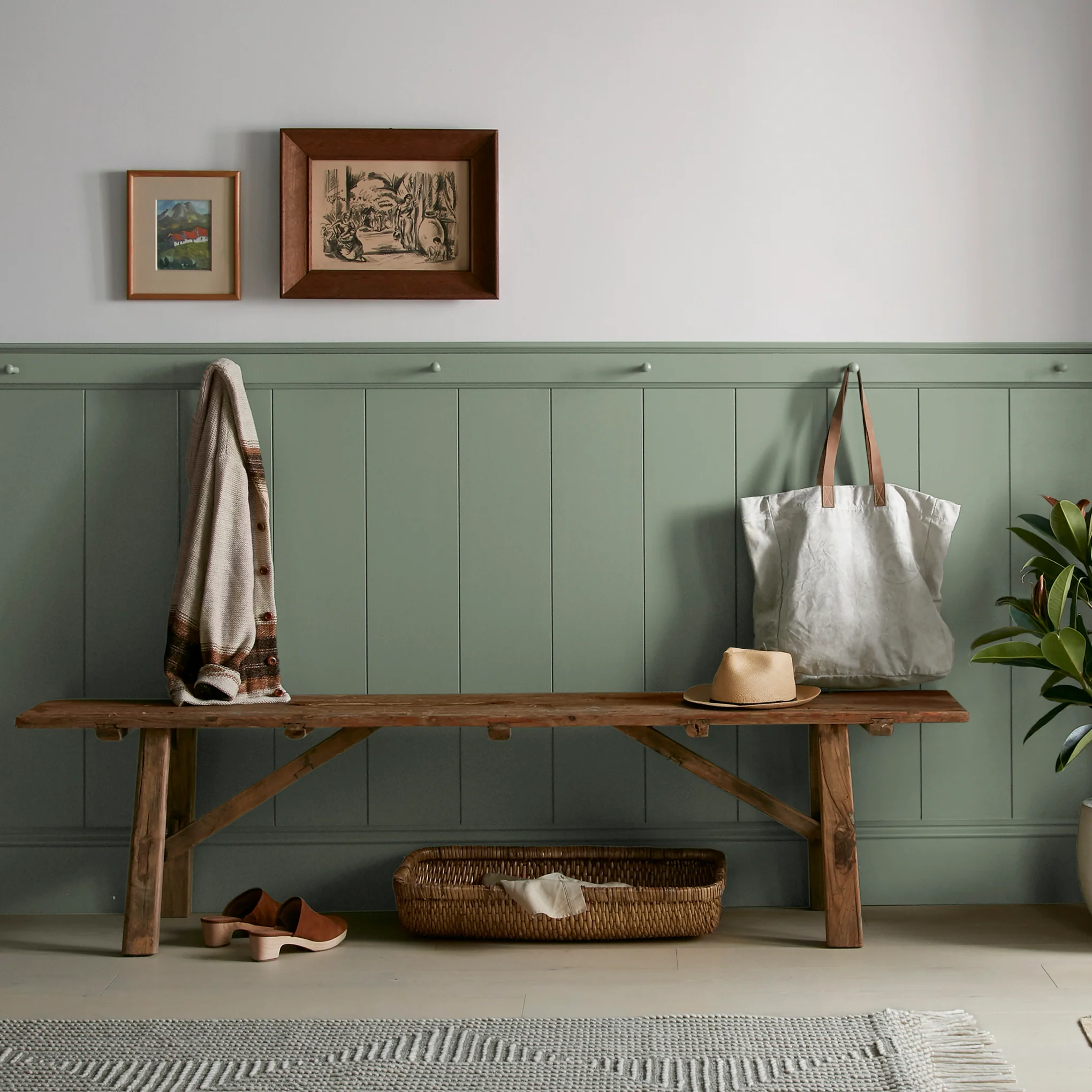 Olive Grove - Premium Interior Paint - Image 6