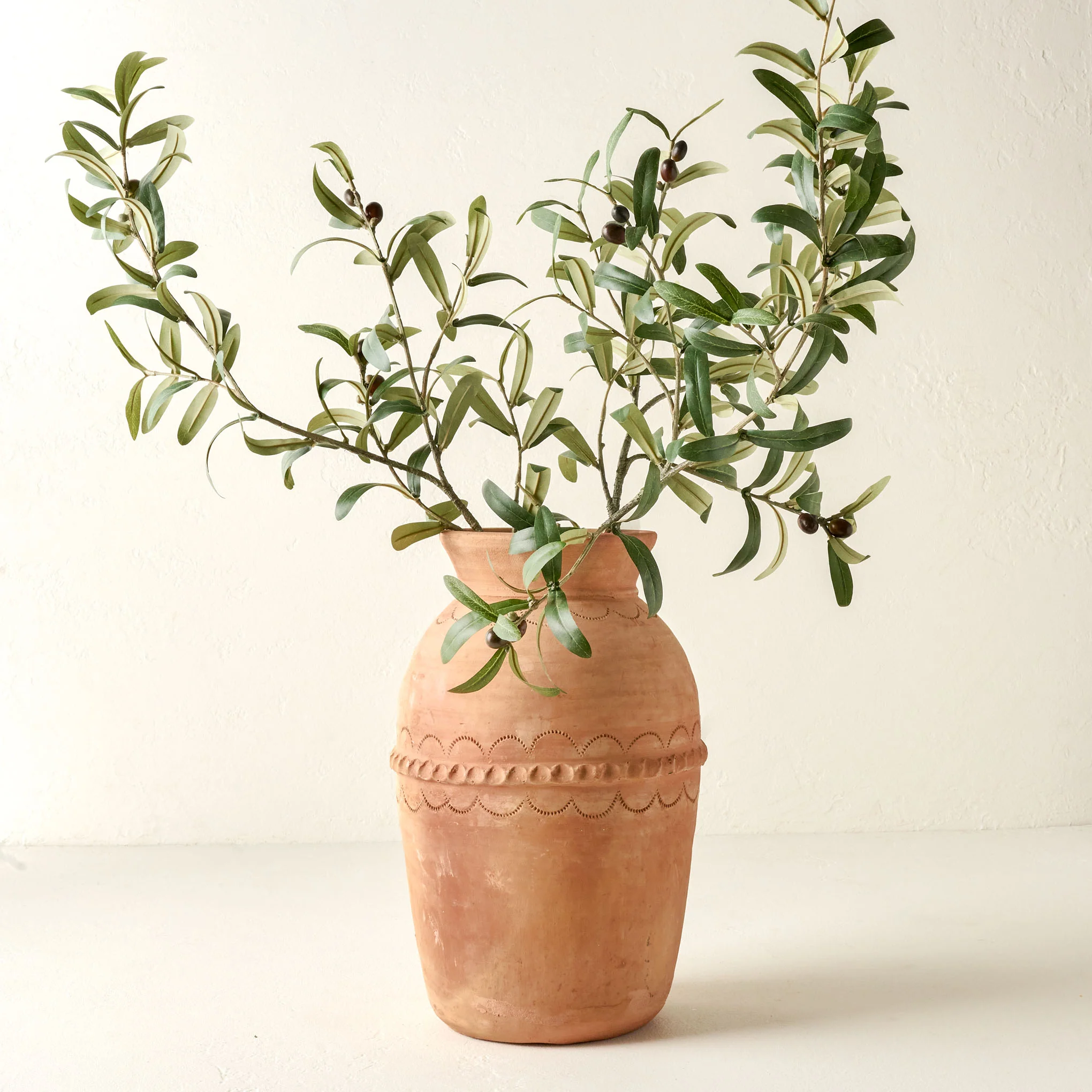 Olive Leaf Stem - Image 4